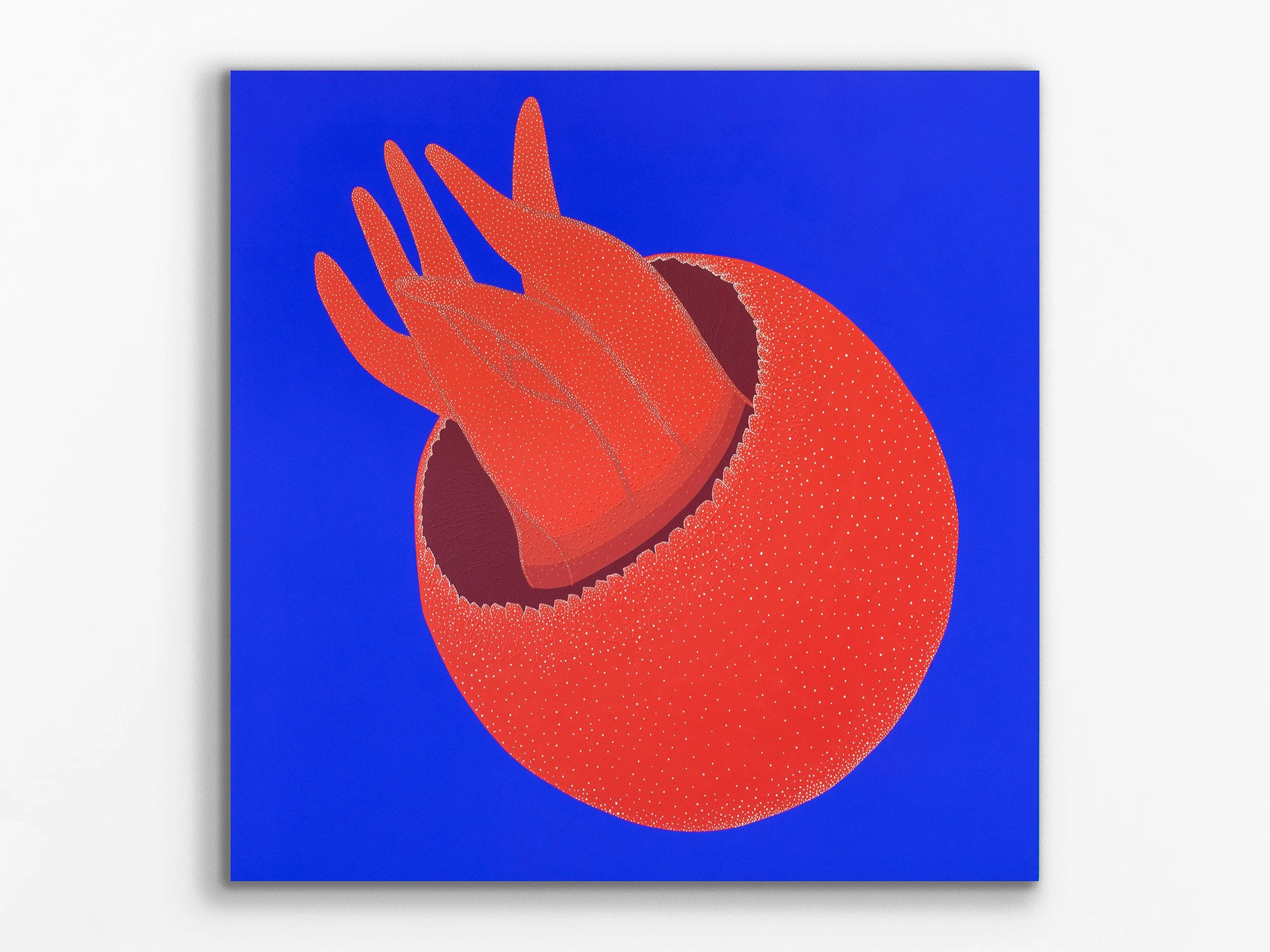 Big Red | Tiburonia granrojo, 2025