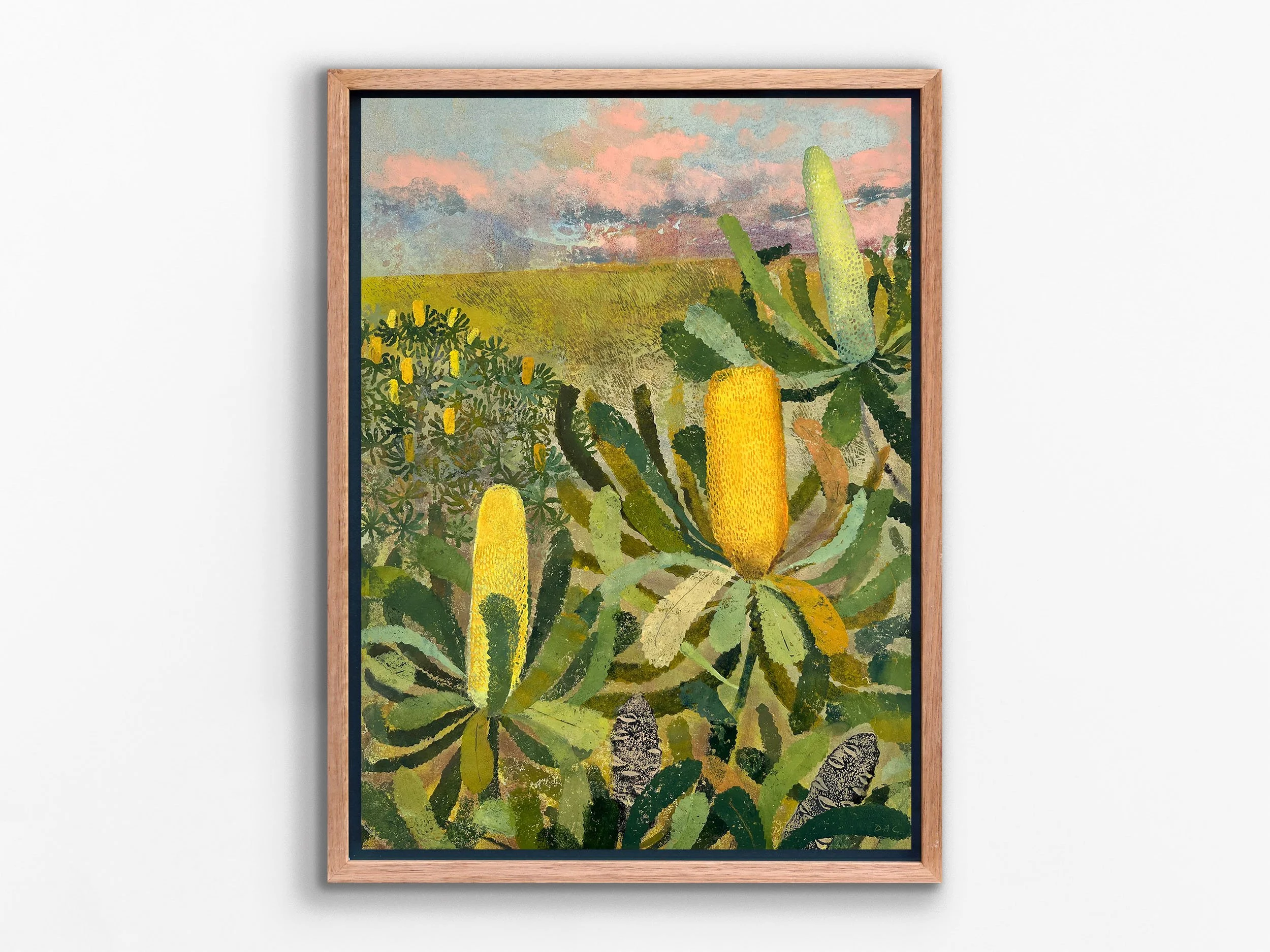 Sunset Banksia, 2026