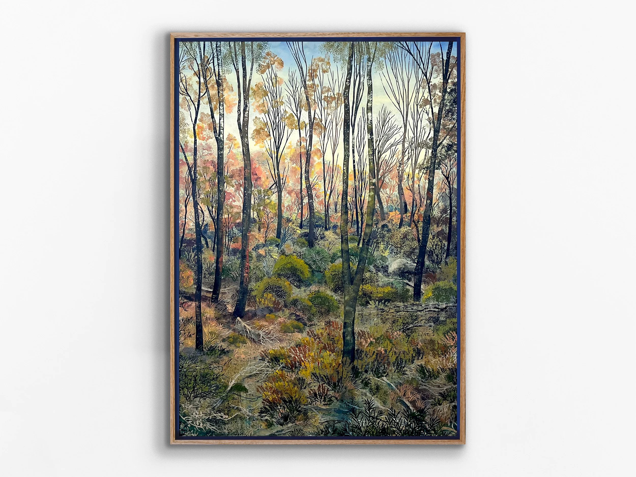 Forest Sunrise -Tutanning, 2026
