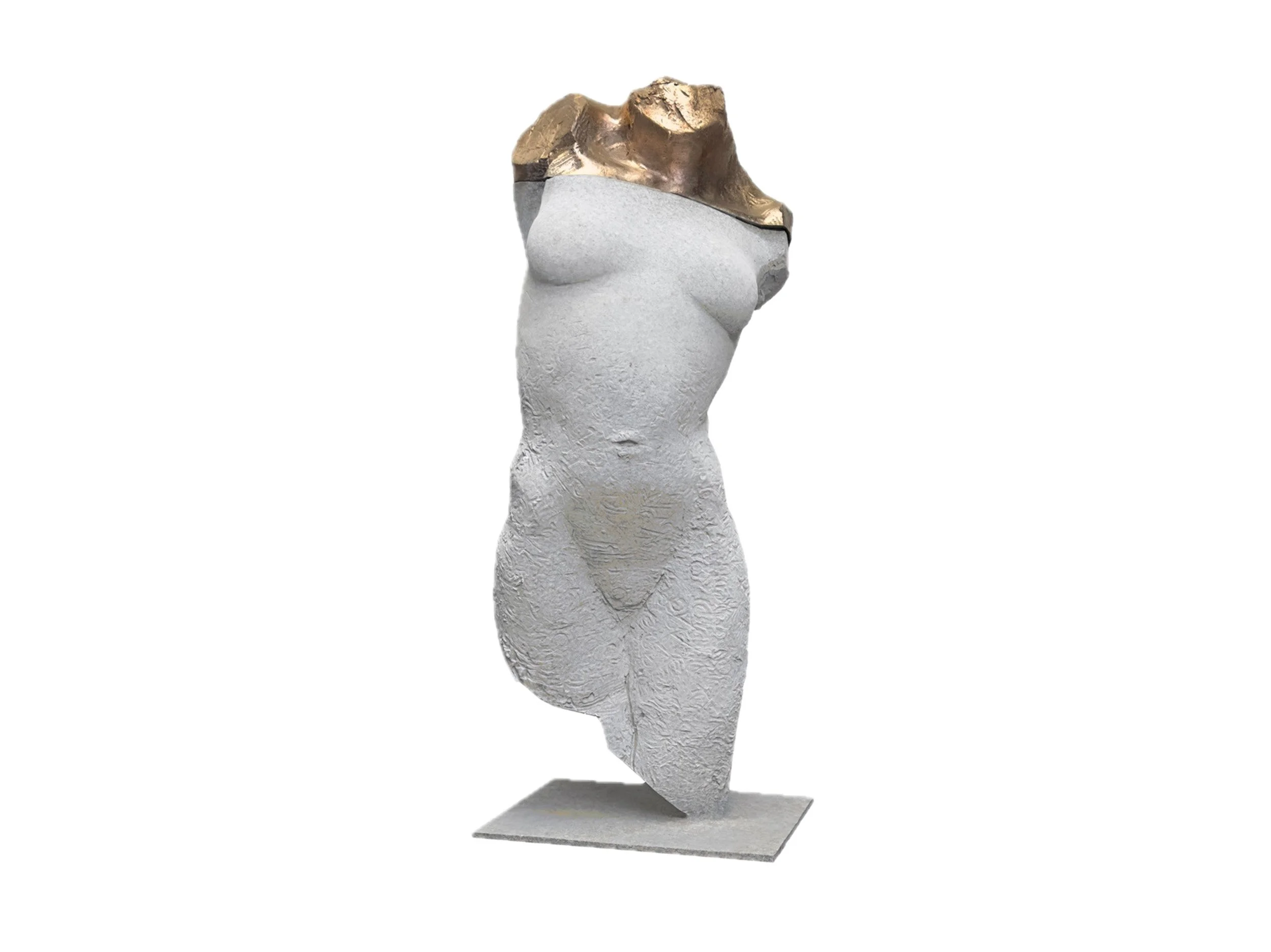 Female Torso