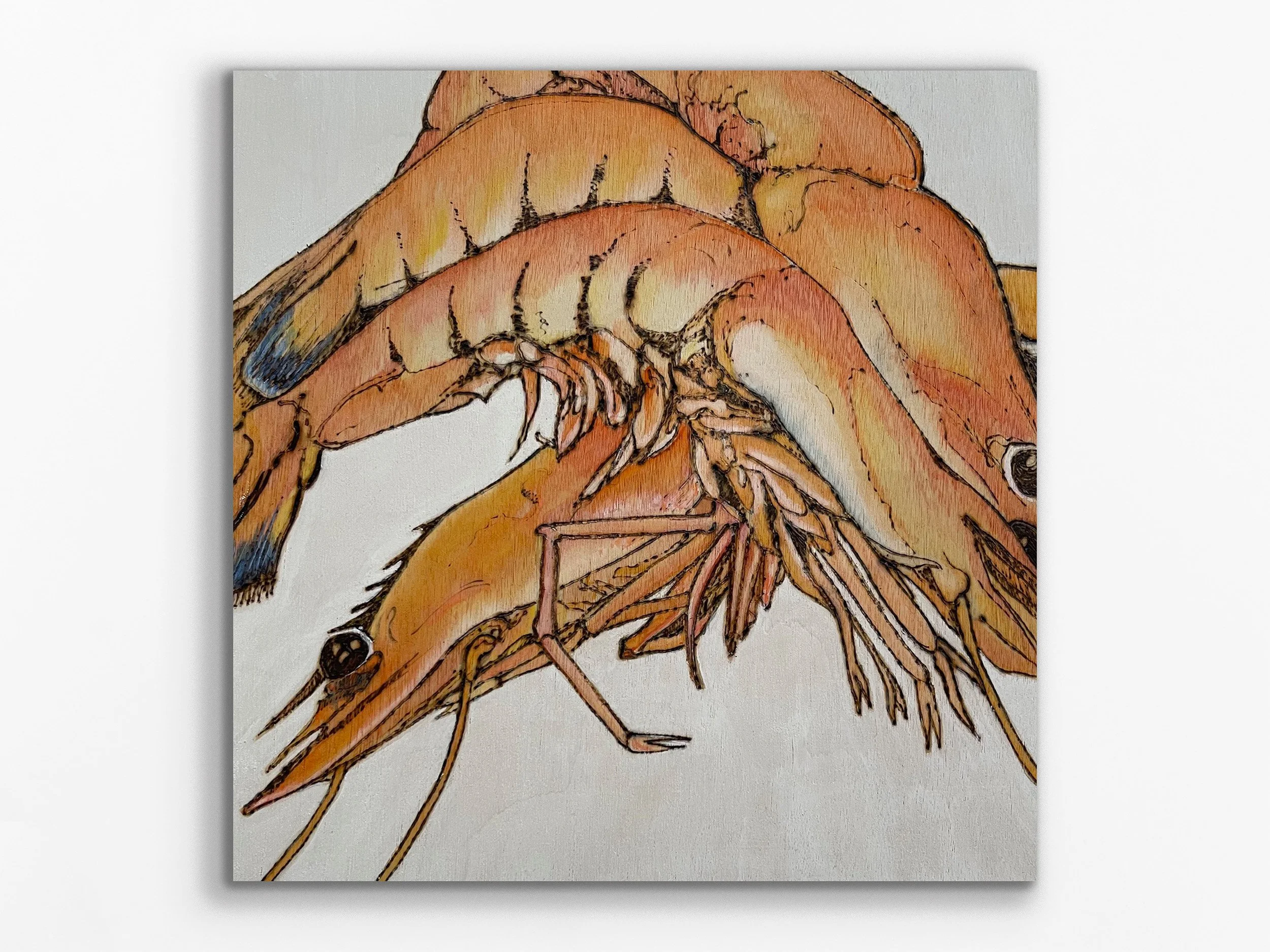 Prawns on Panel 3, 2024