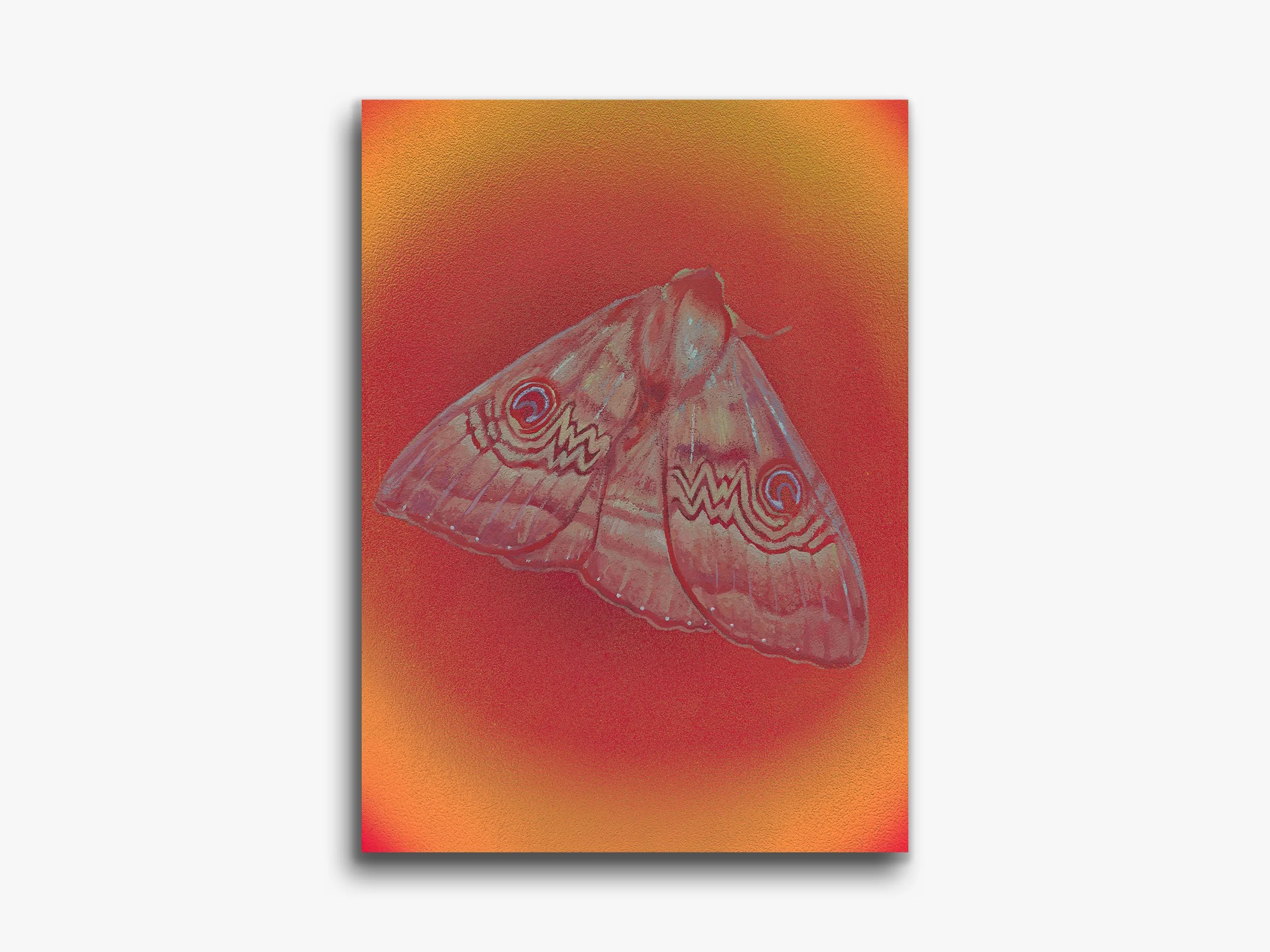 Flame Moth, Salome, 2026