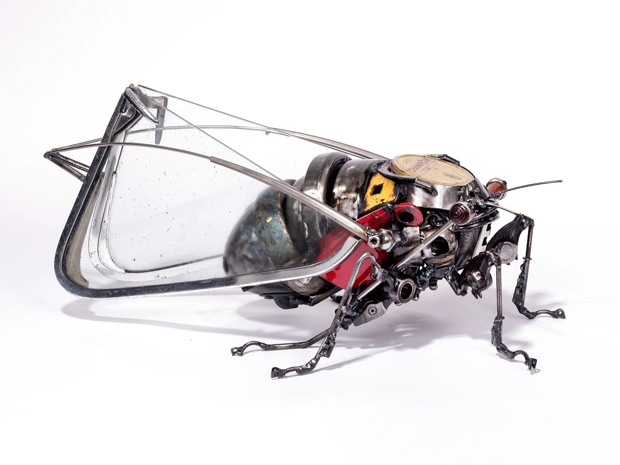 Cicada, 2024