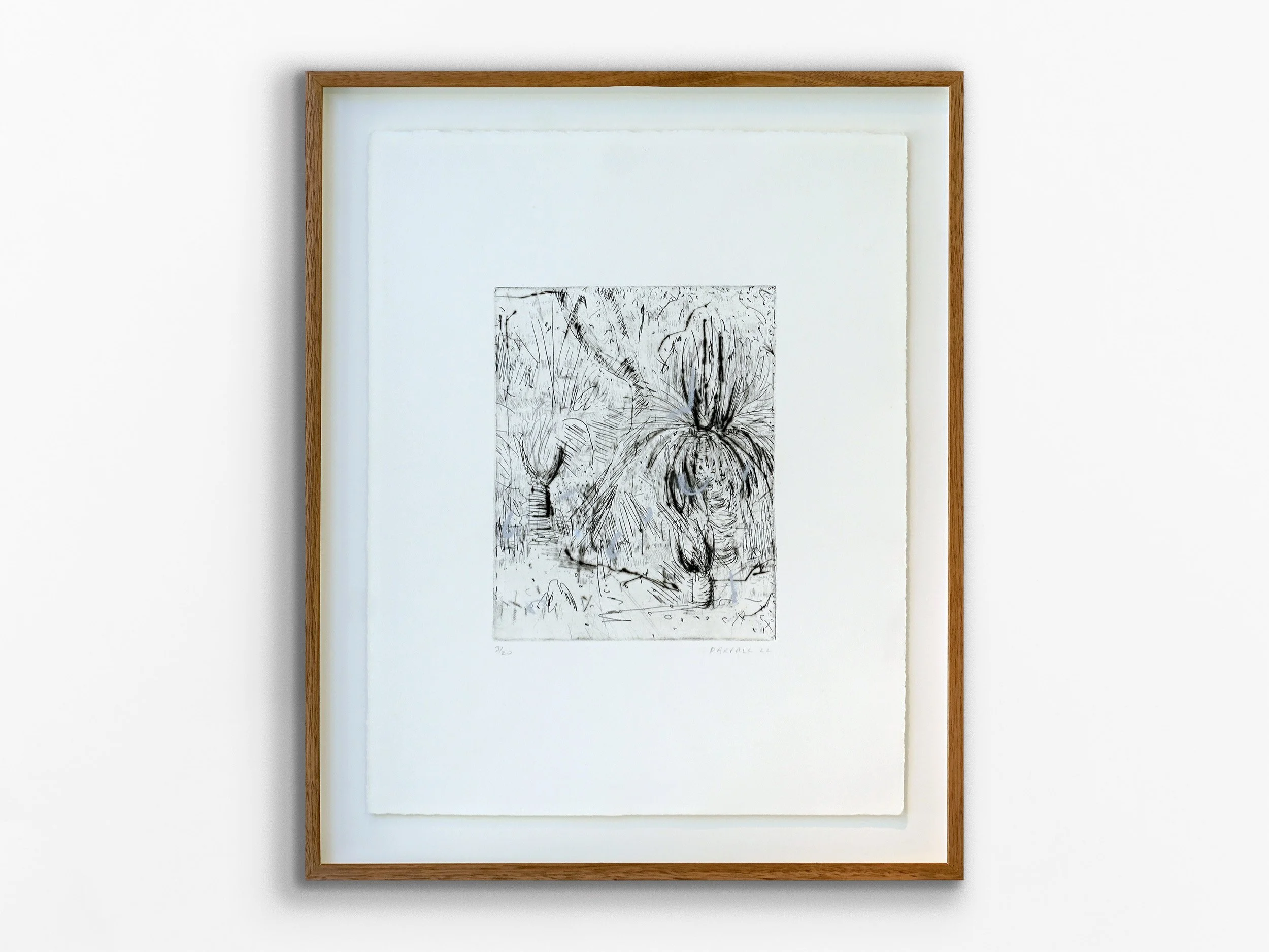 Boranup and the Grass trees, 2022