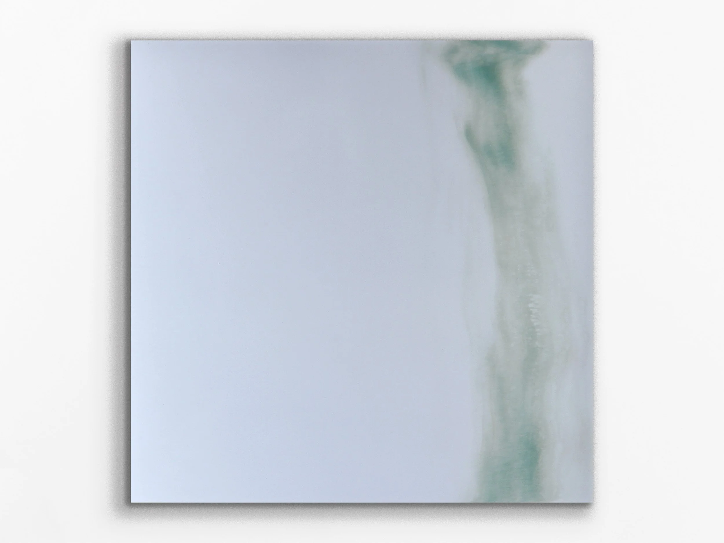 Xylem series: Avium12, 2014