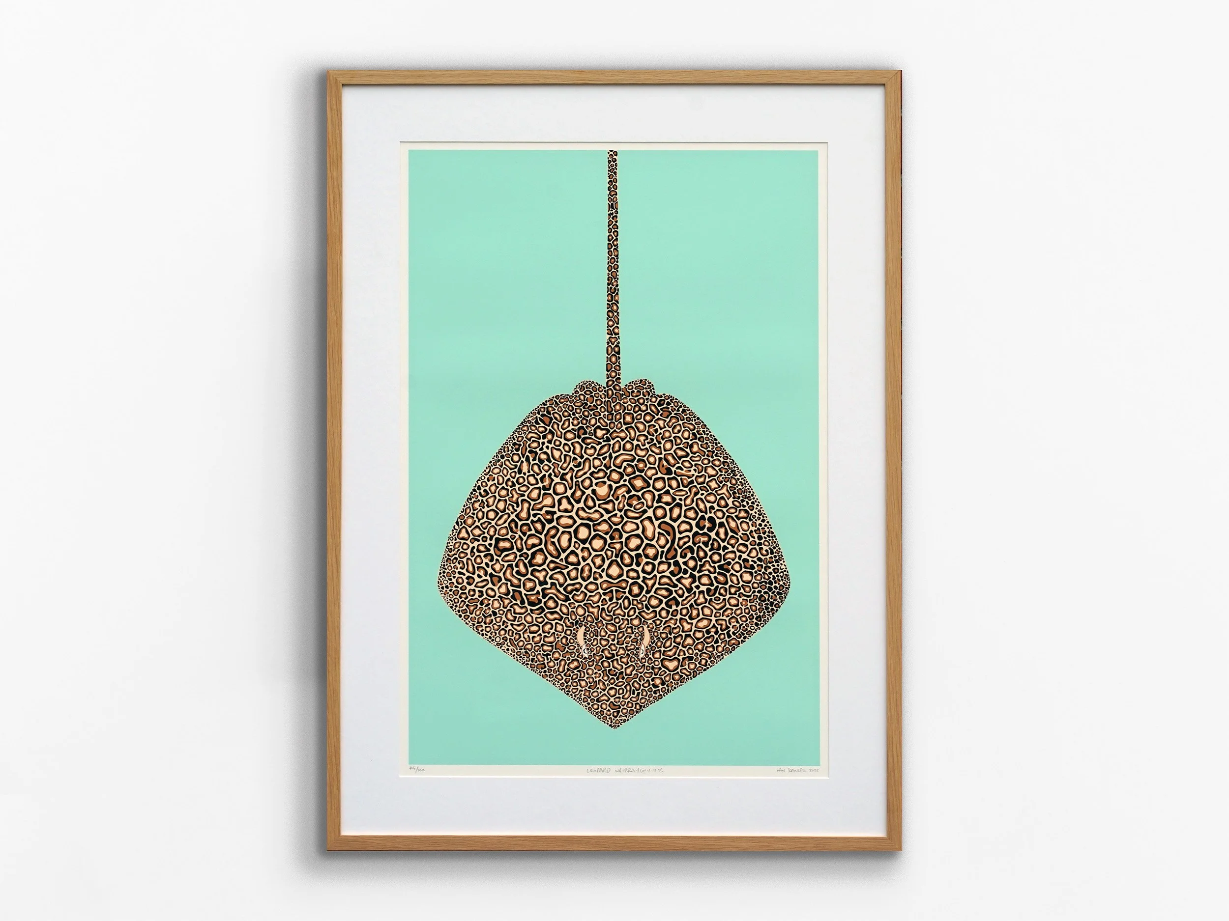 Leopard Whipray 11.11%, 2021