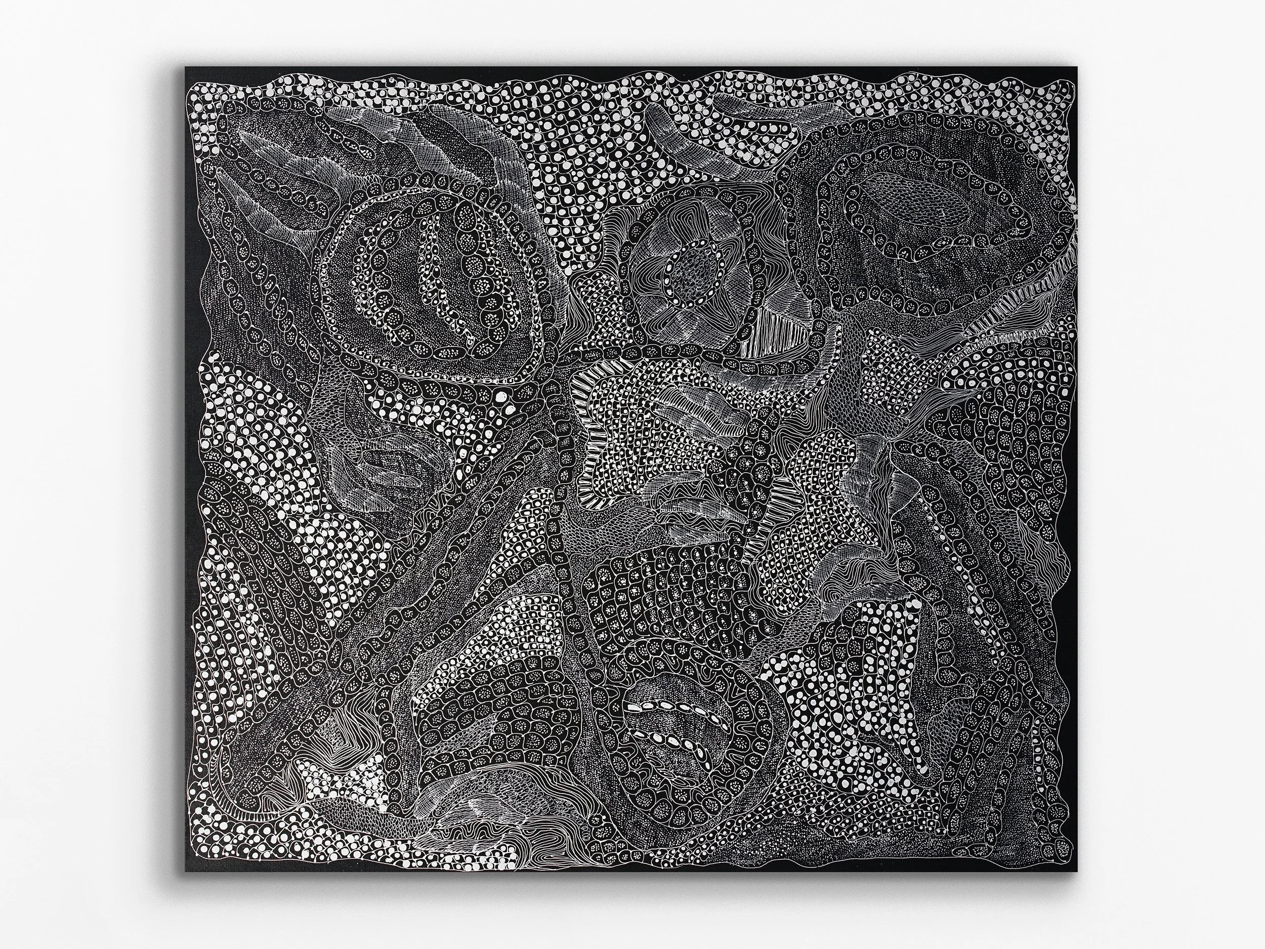 Ngintaka Perentie, 2024