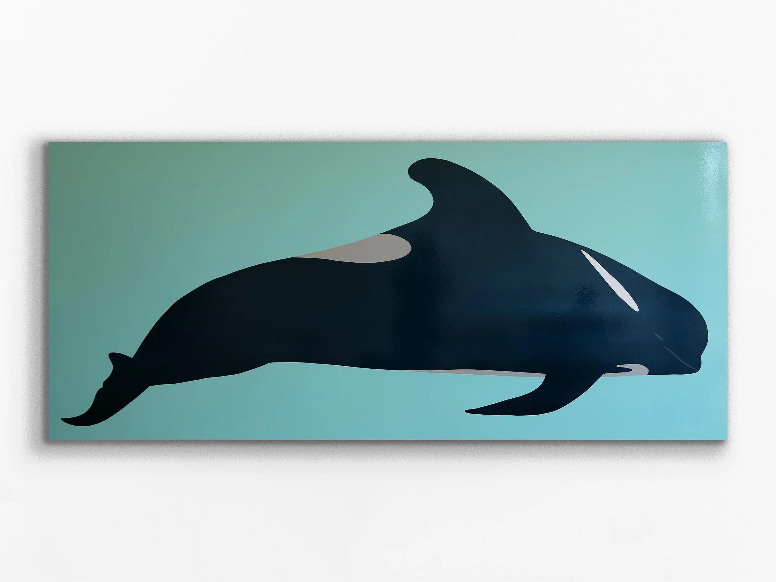 Pilot Whale Calf, 2024