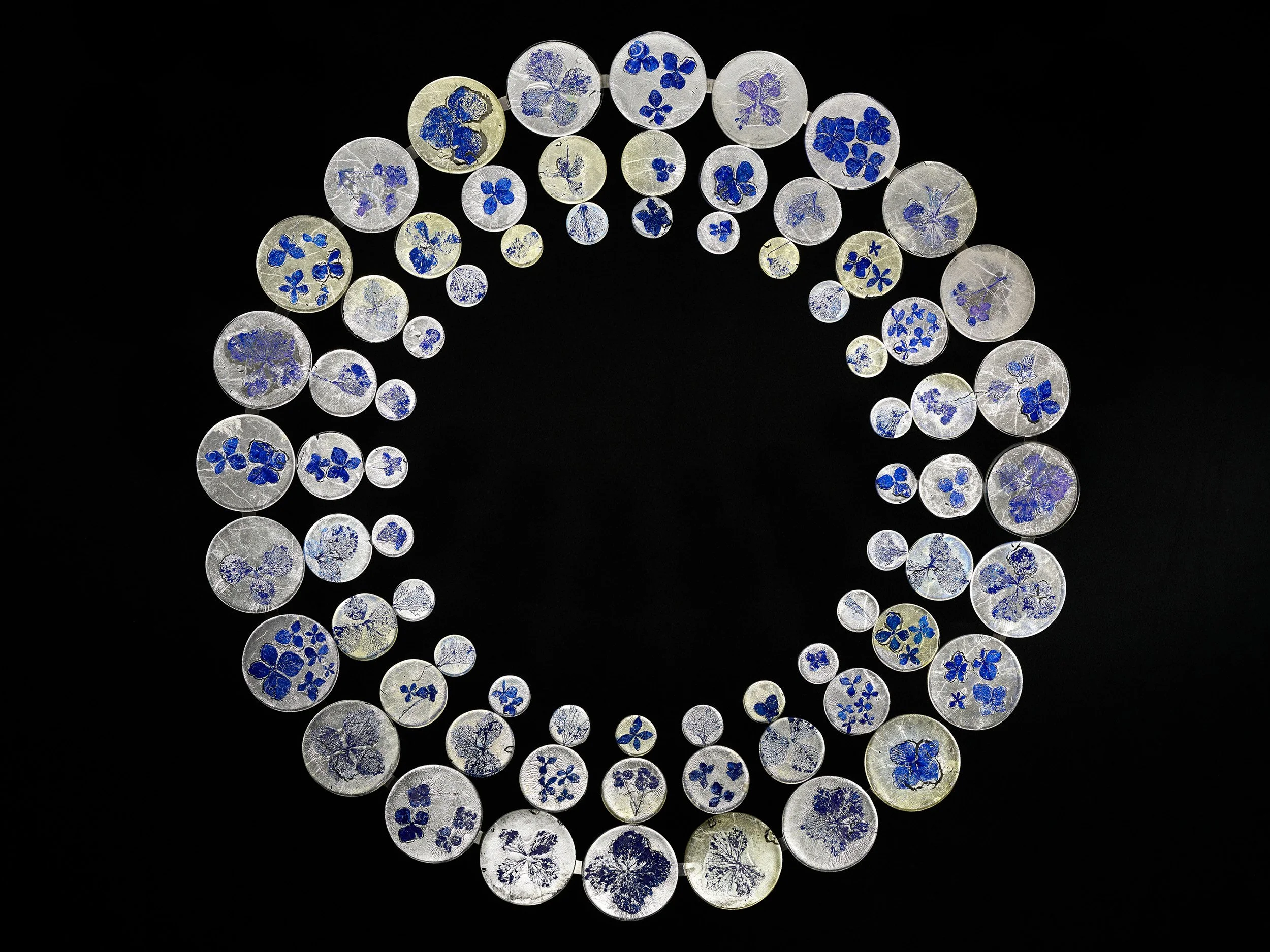 30067_Fragile Strength-Hydrangea Study_Kristen McFarlane.jpg