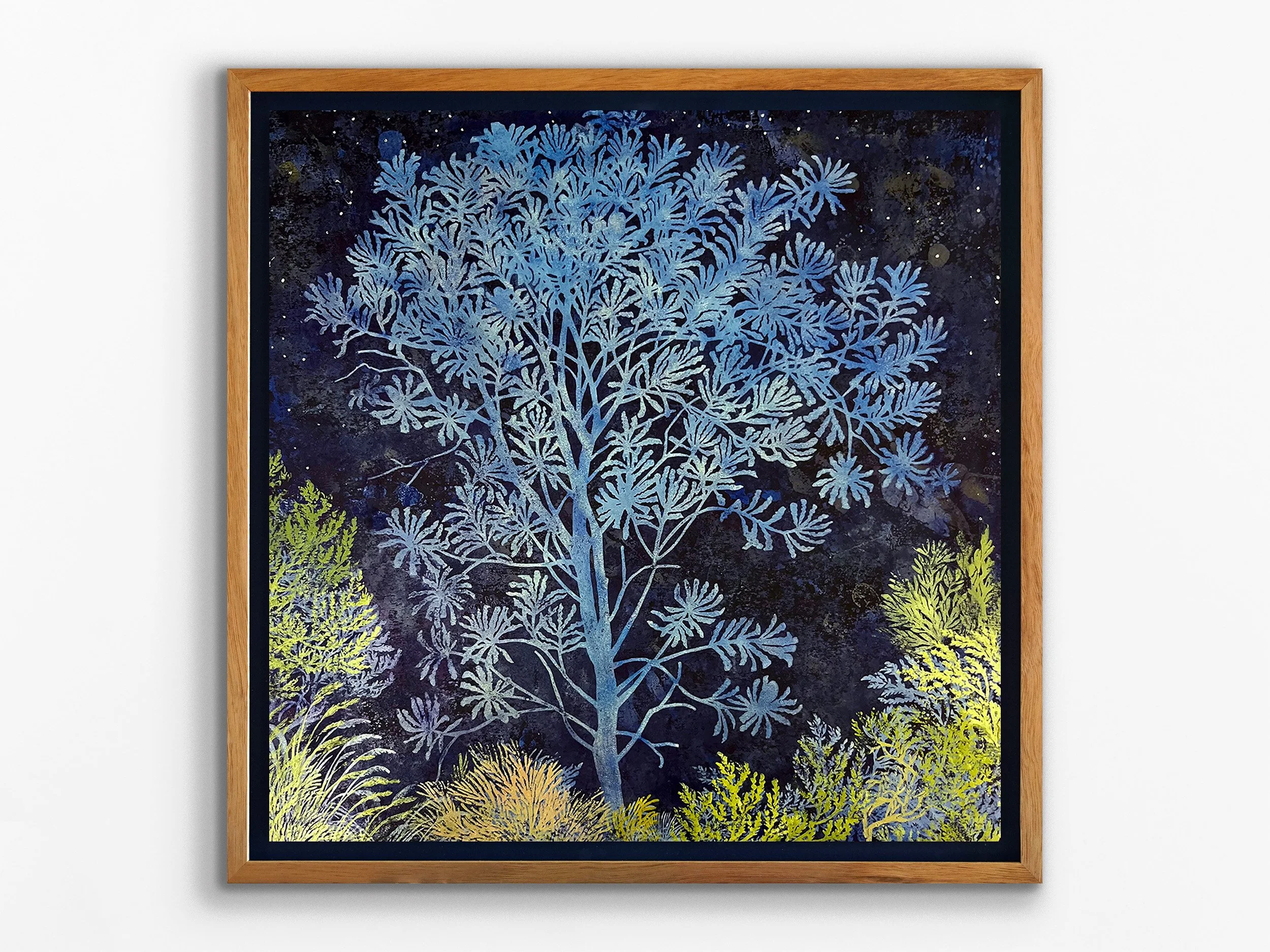 Blue Banksia, 2025