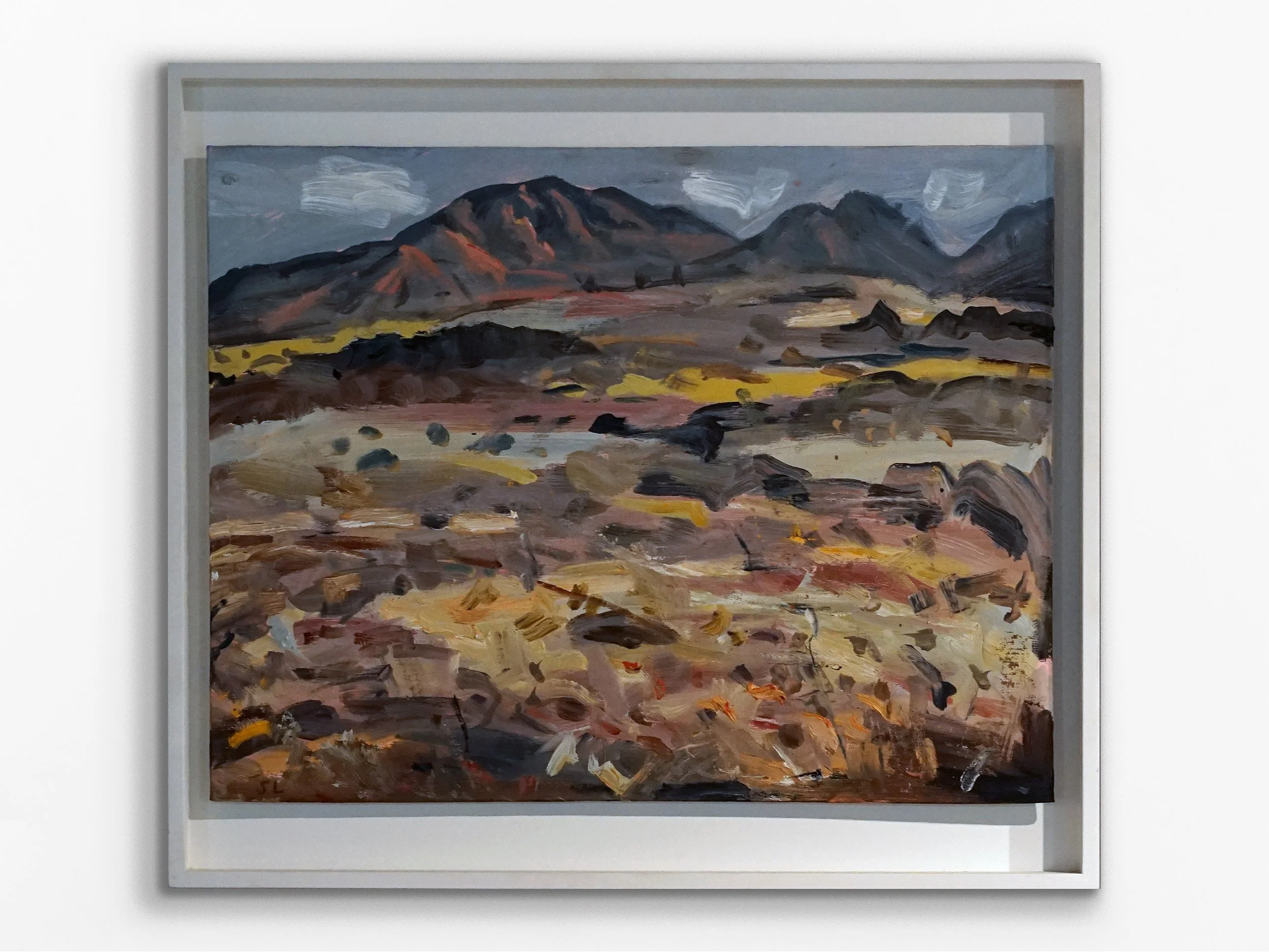 Larapinta Trail, Valley View IV, 2007