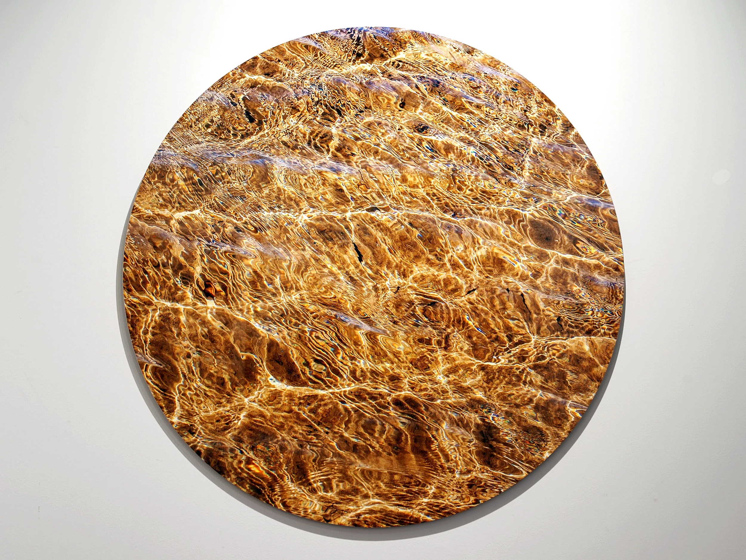 Urunga Rainbows, 2019