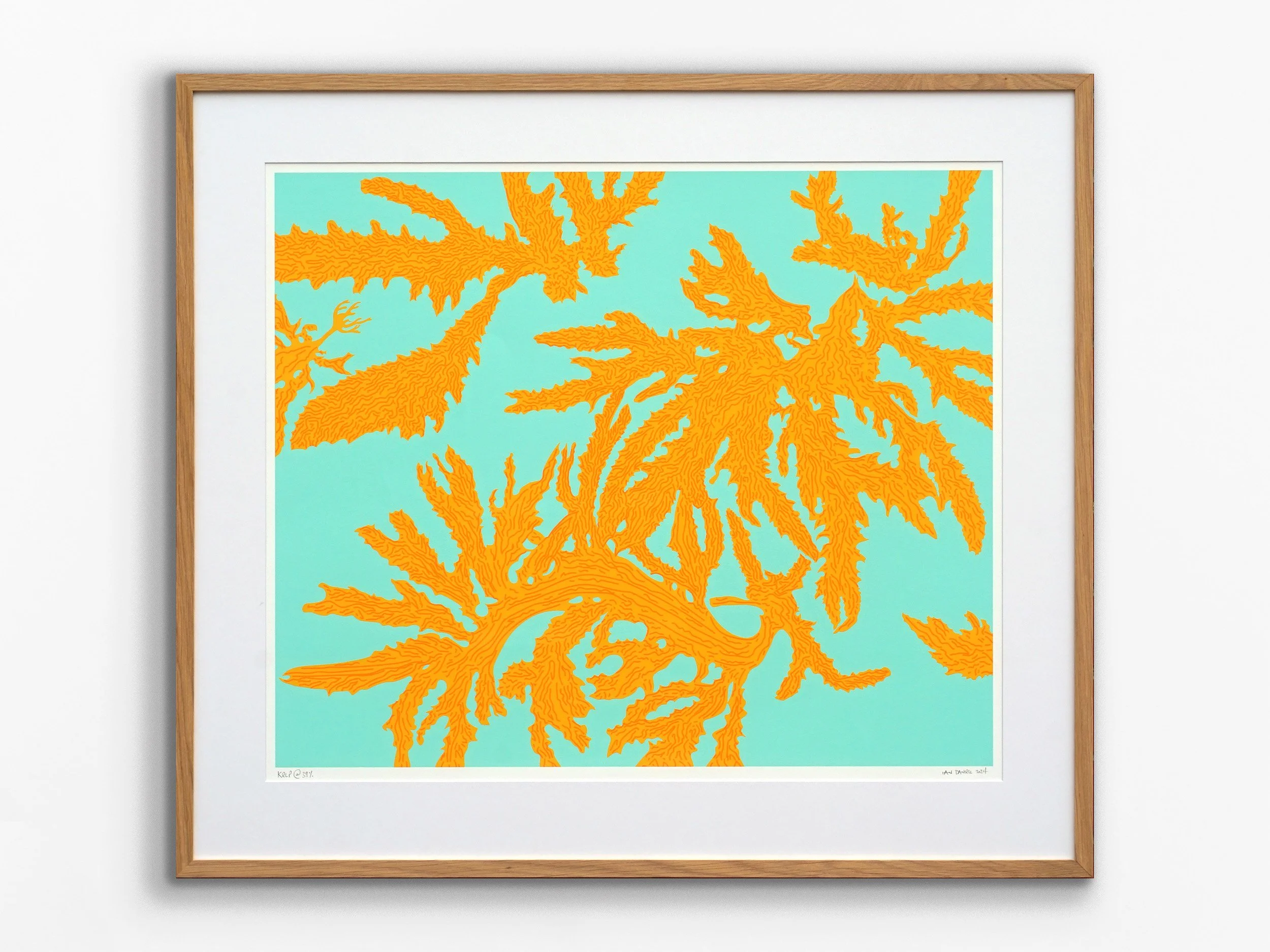 Kelp @39%, 2021