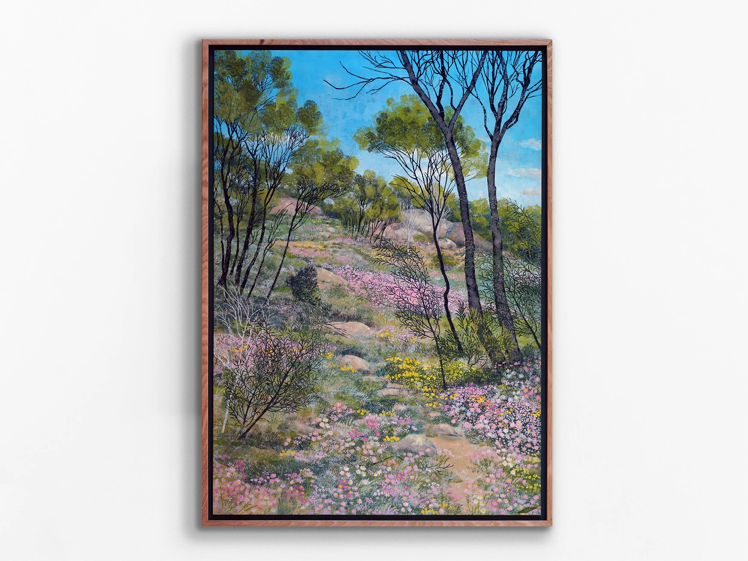 Wild Flowers - Pelham Reserve, Toodyay, 2026