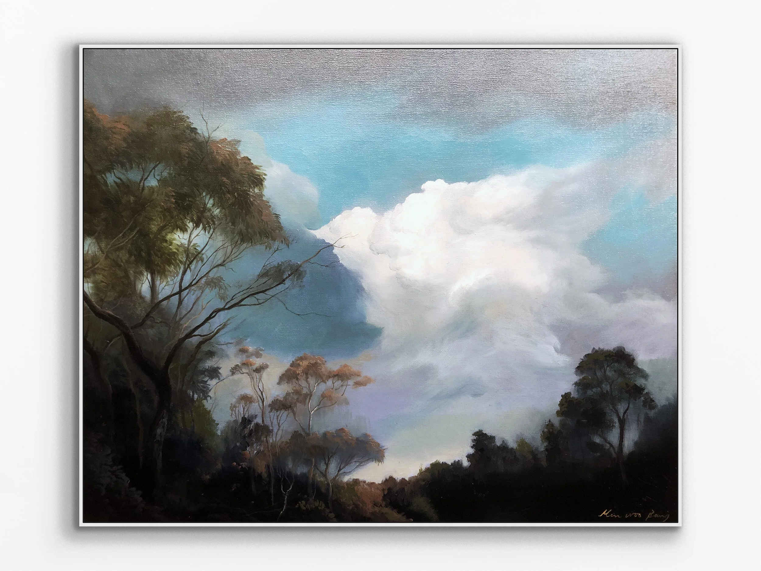 Blue Mountains Forest, 2020