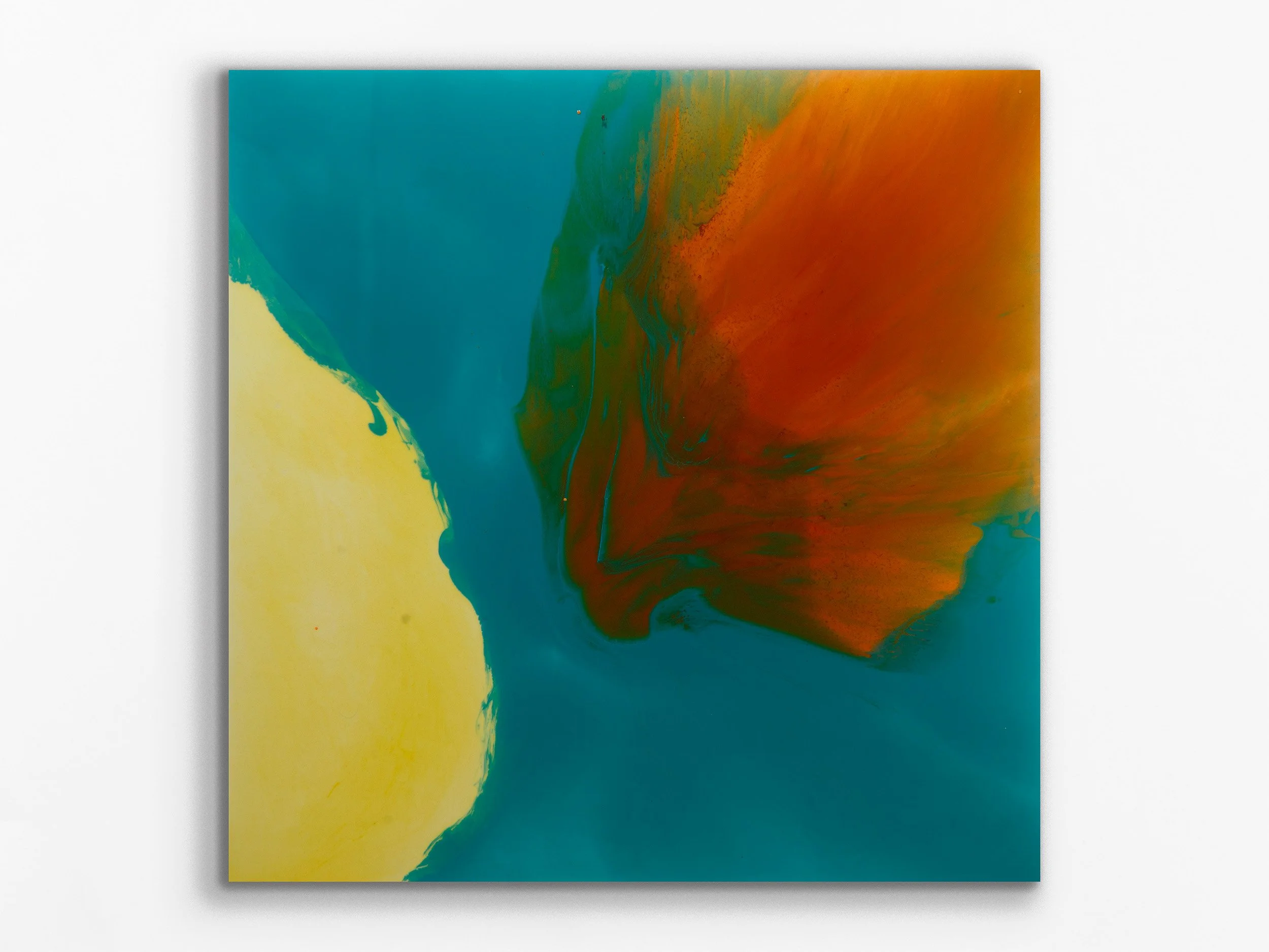 xylem series: chromatophore24, 2025