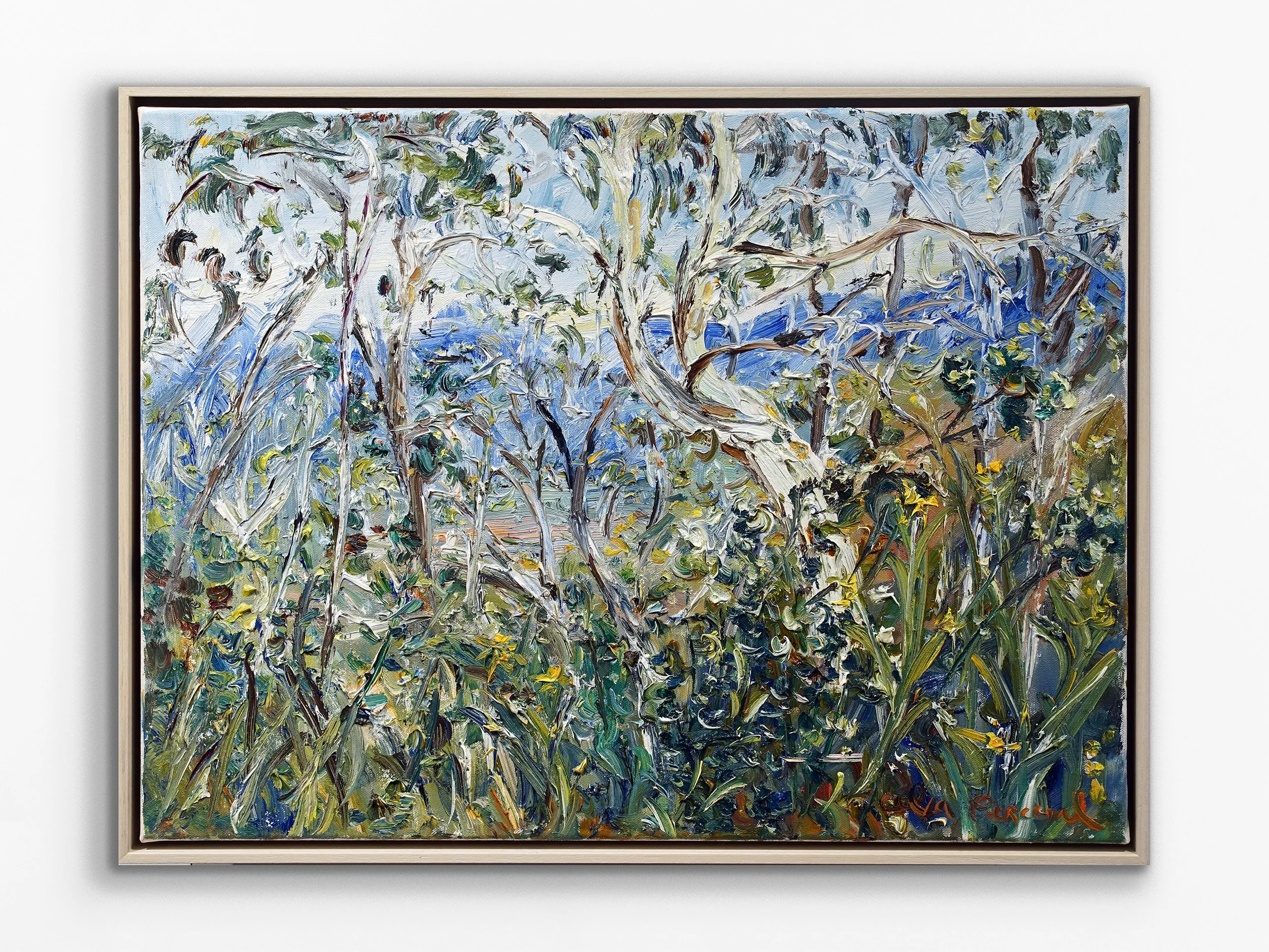 Wildflowers above Araluen Valley