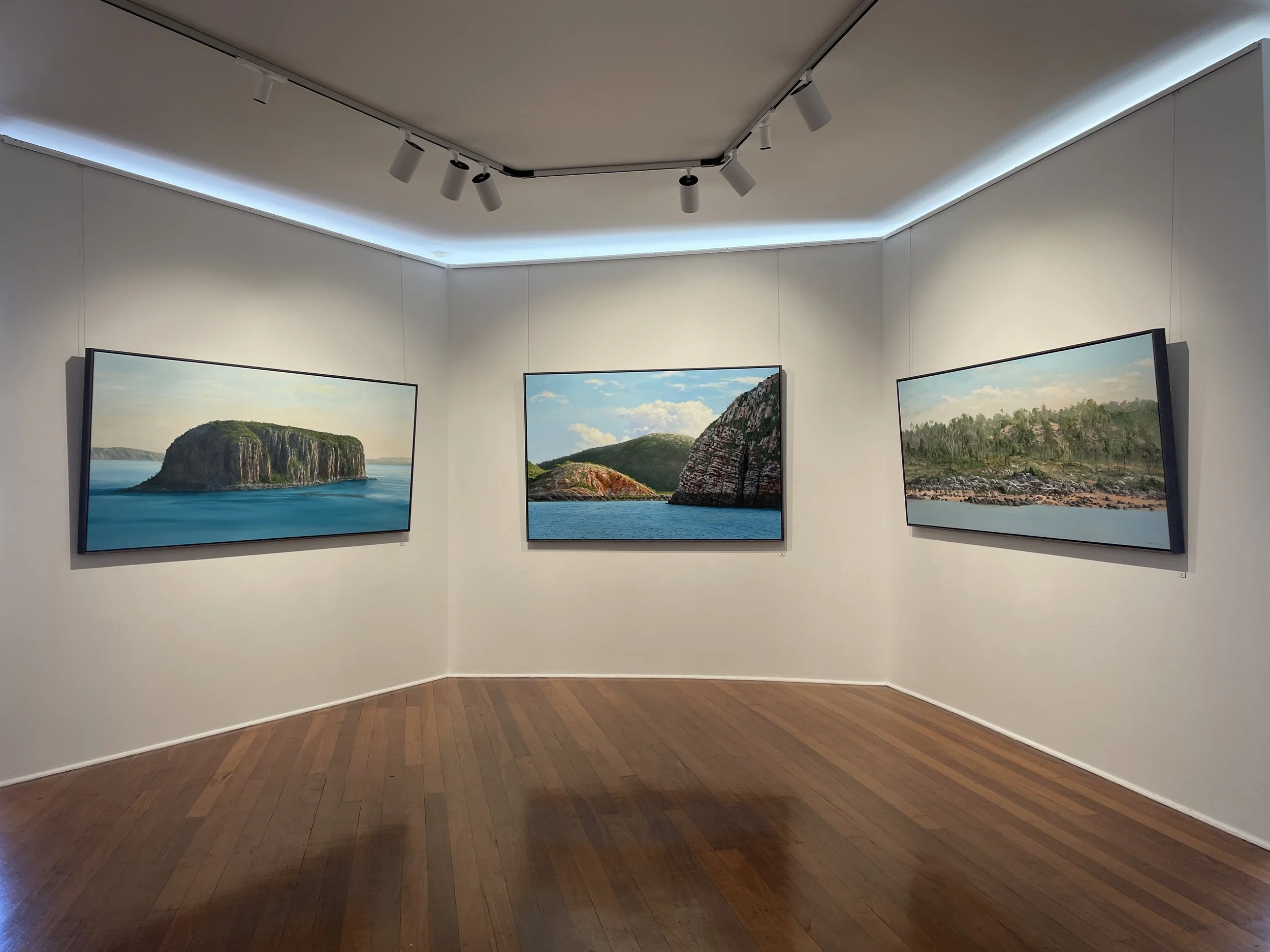 Single Artist Show in Subiaco, Linton & Kay Galleries Perth, Leigh Hewson Bower