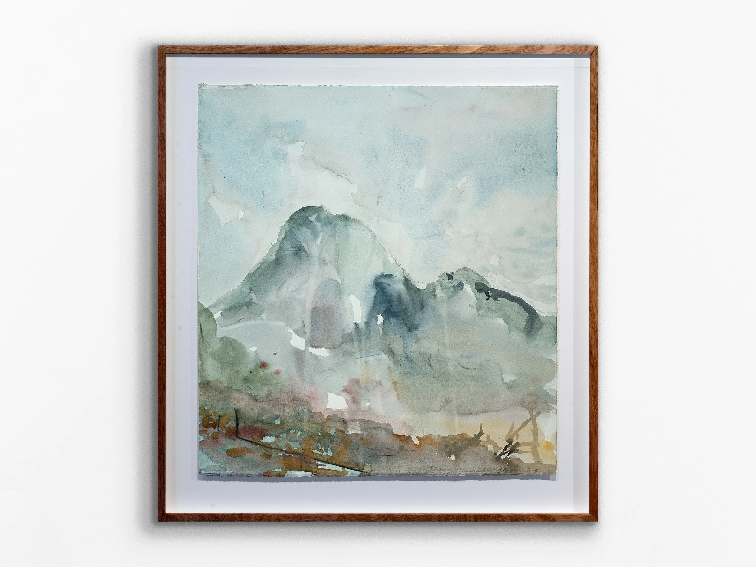 Borongur (Porongurup WA), 2024