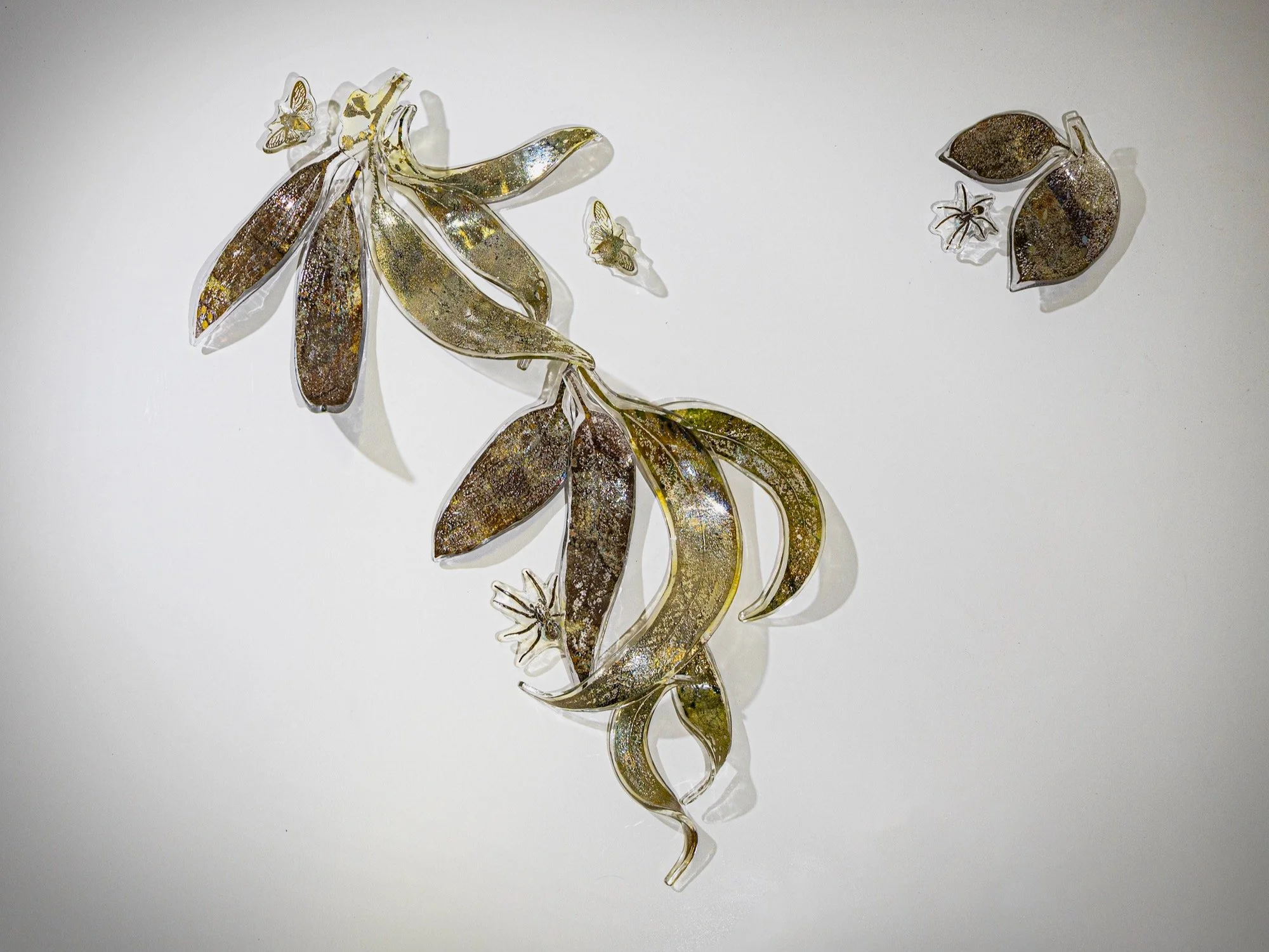 21. “Tread lightly” II:II, 2025, 17p wall installation with snowgum leaves, cicada’s, wolf spiders. Overall dimensions L100cm x H80cm x D10cm.jpeg