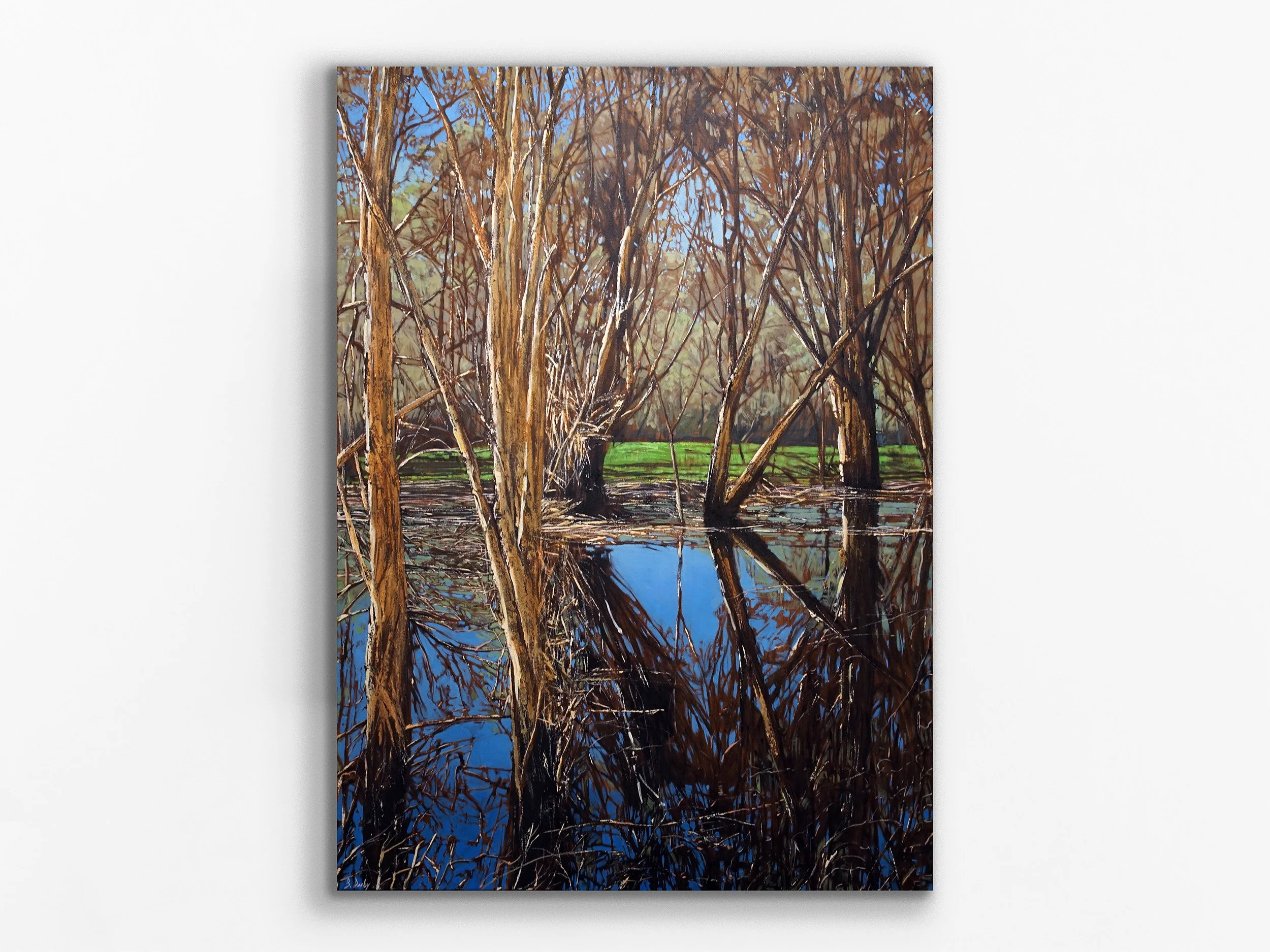 Paperbarks on Herdsman Lake