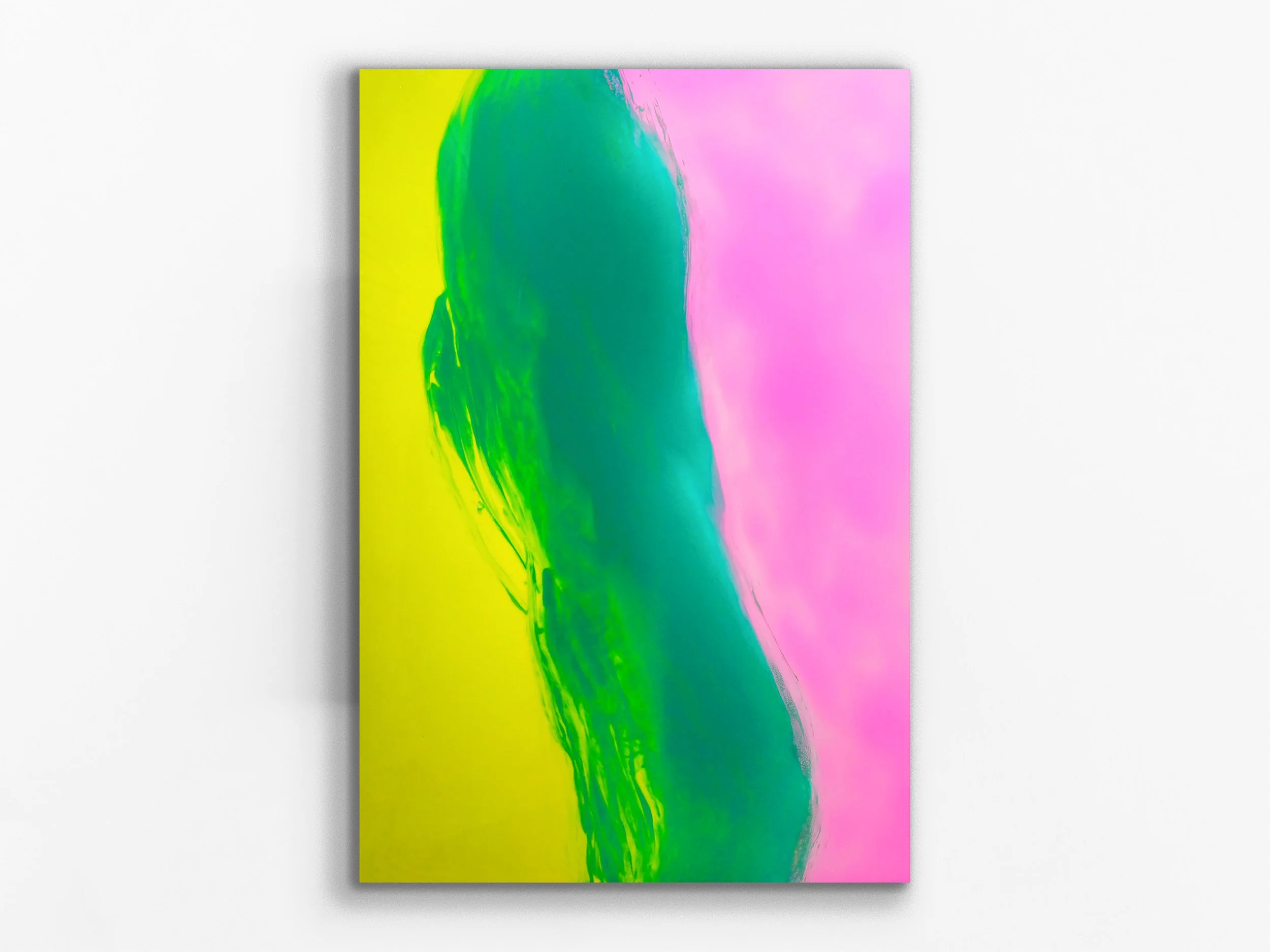 xylem series: chromatophore15 2024