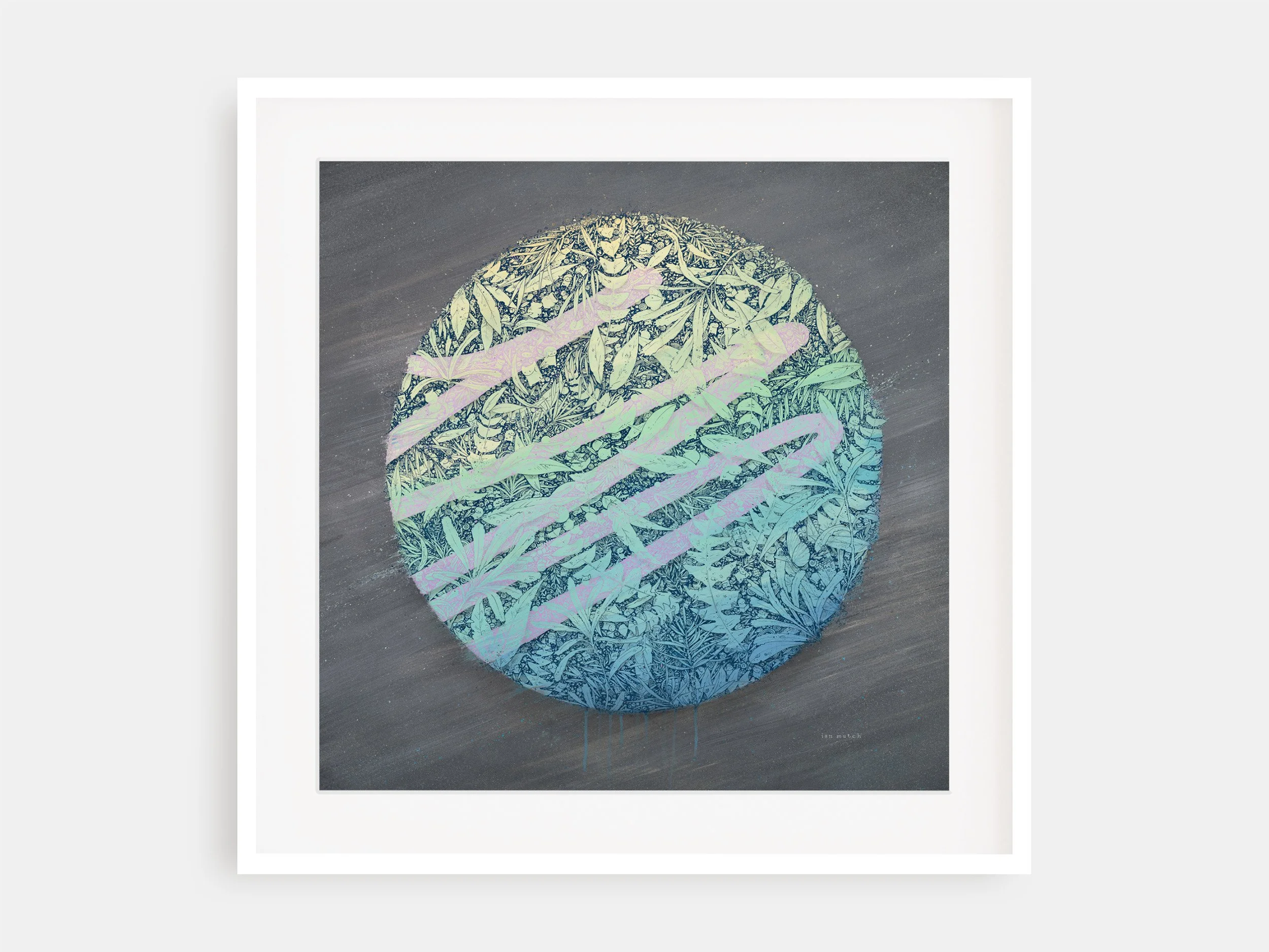 Finding Naturaliste, 2019