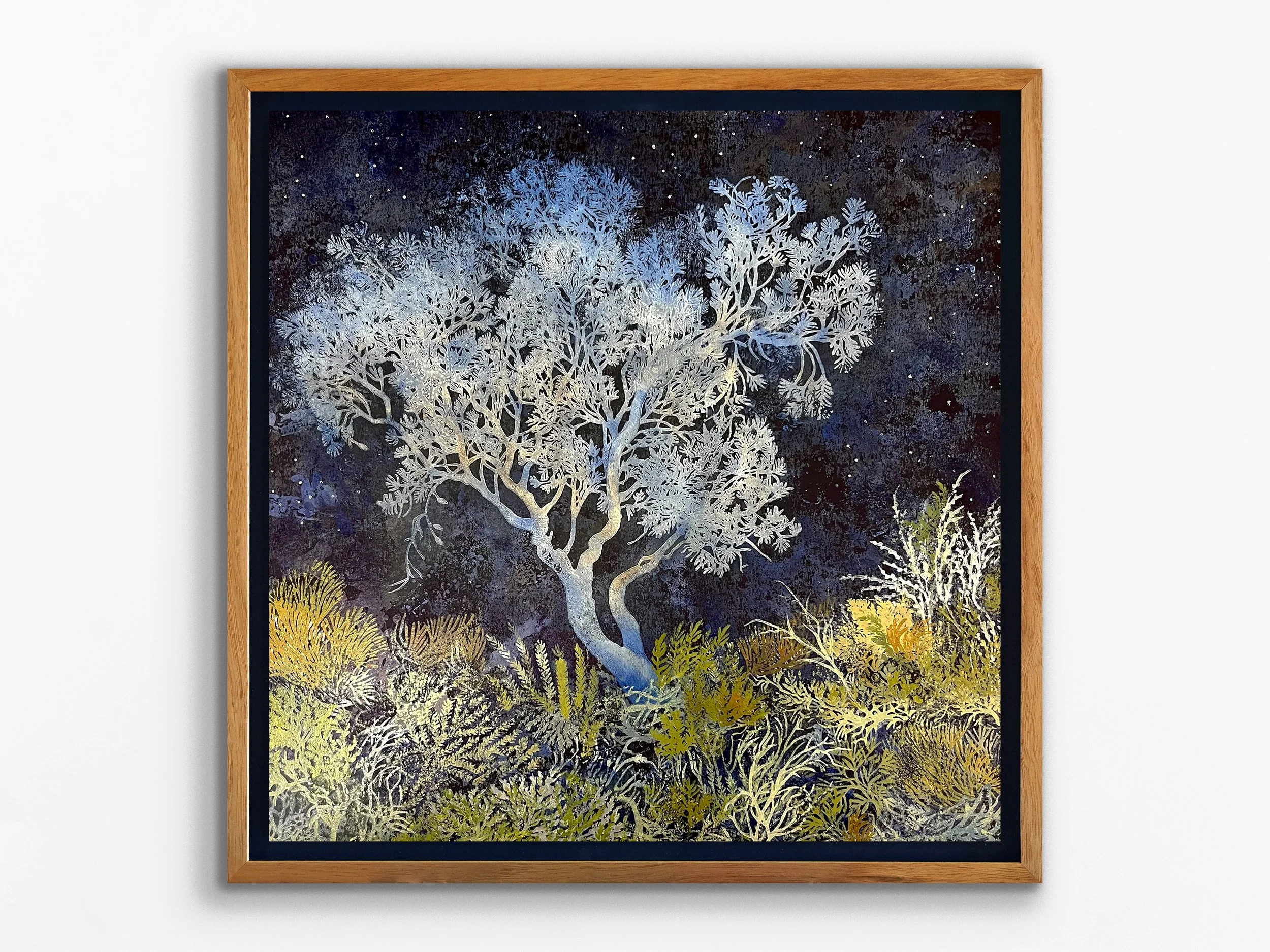 Moonlit Banksia, 2025