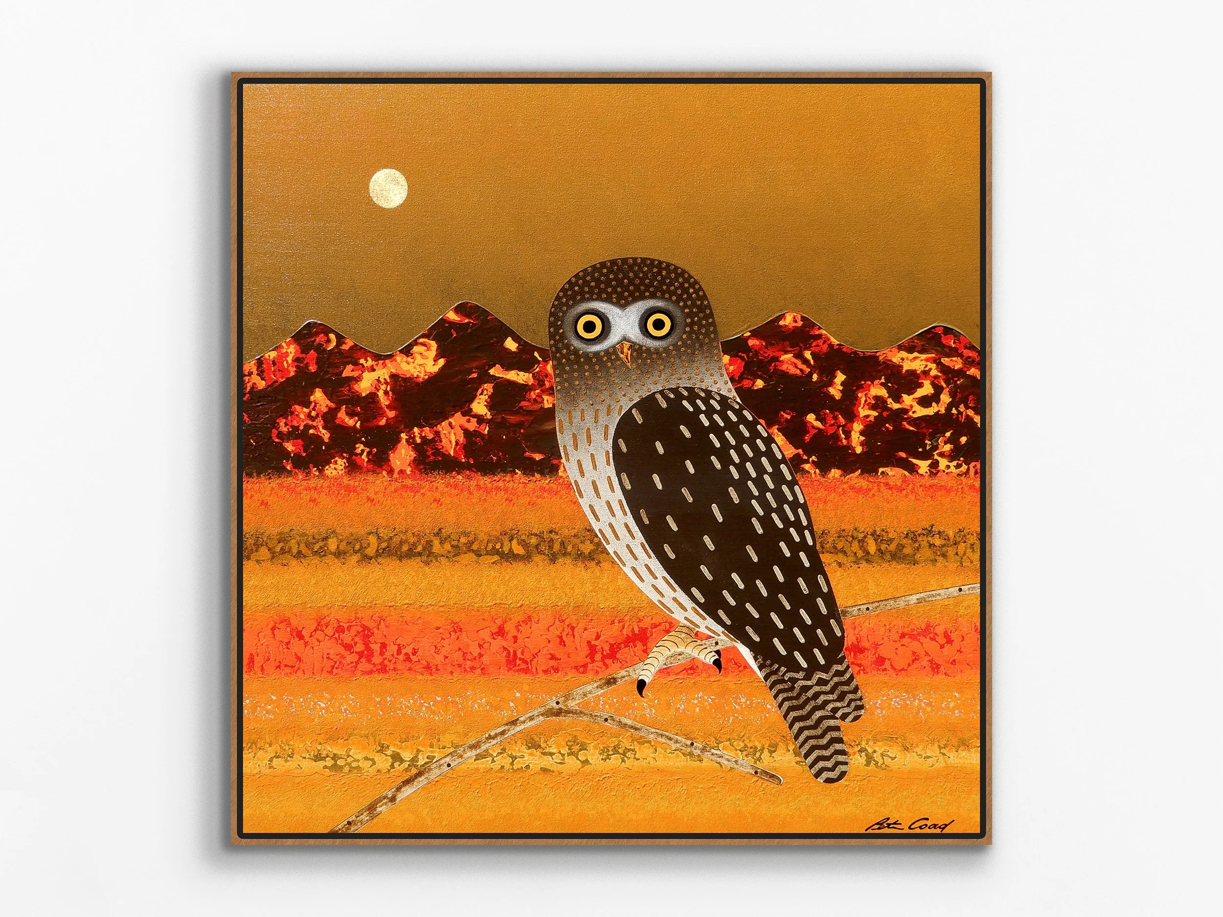 Boobook in Desert Landscape, 2024