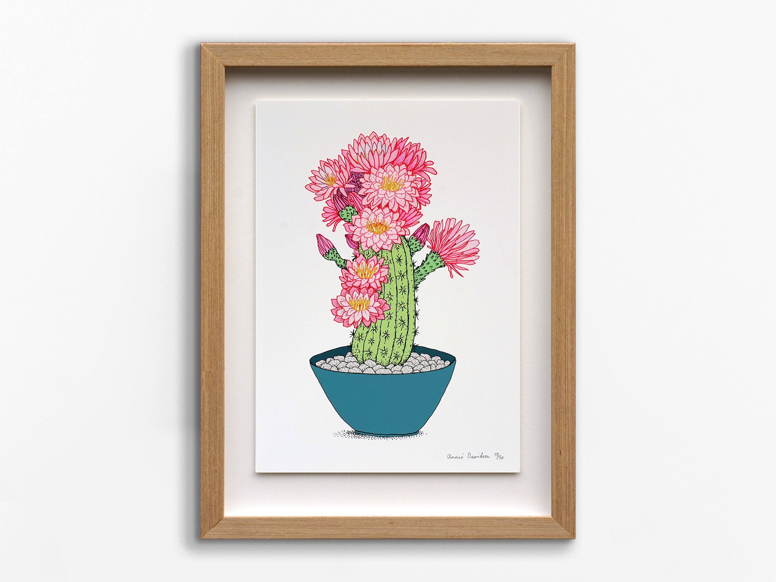 Pink Cactus