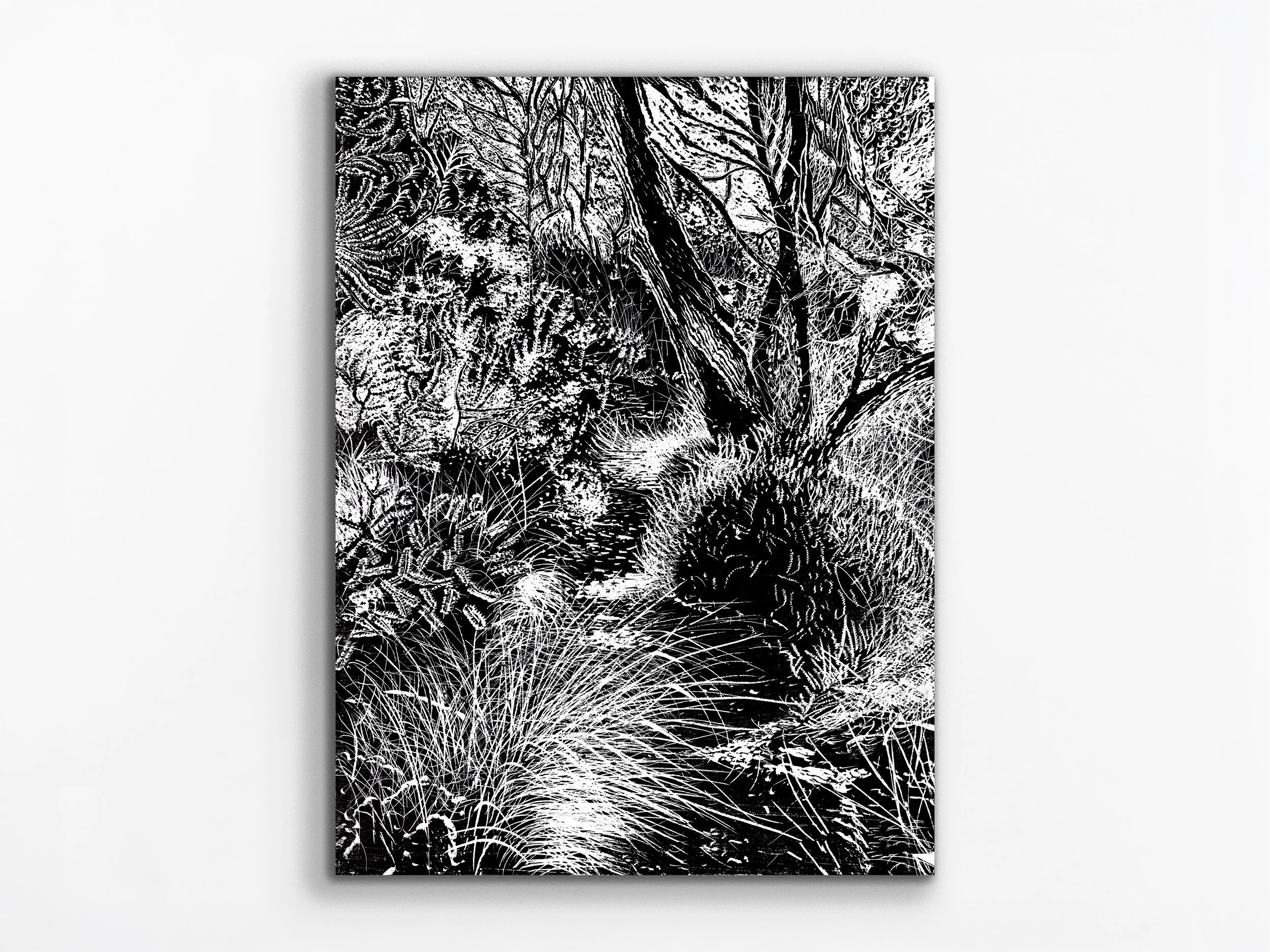 Waychinicup Etching, 2026