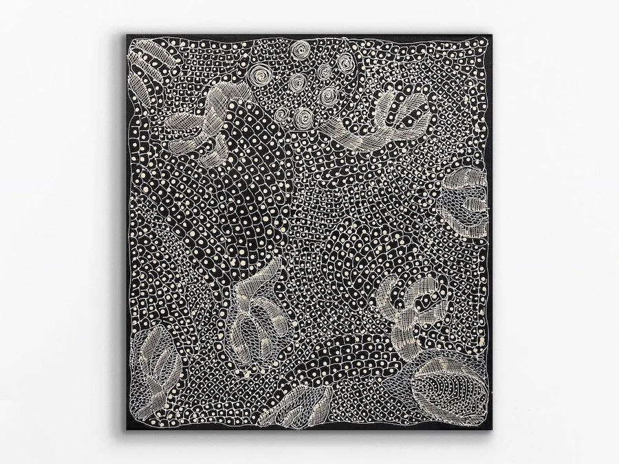 Ngintaka Perentie, 2024