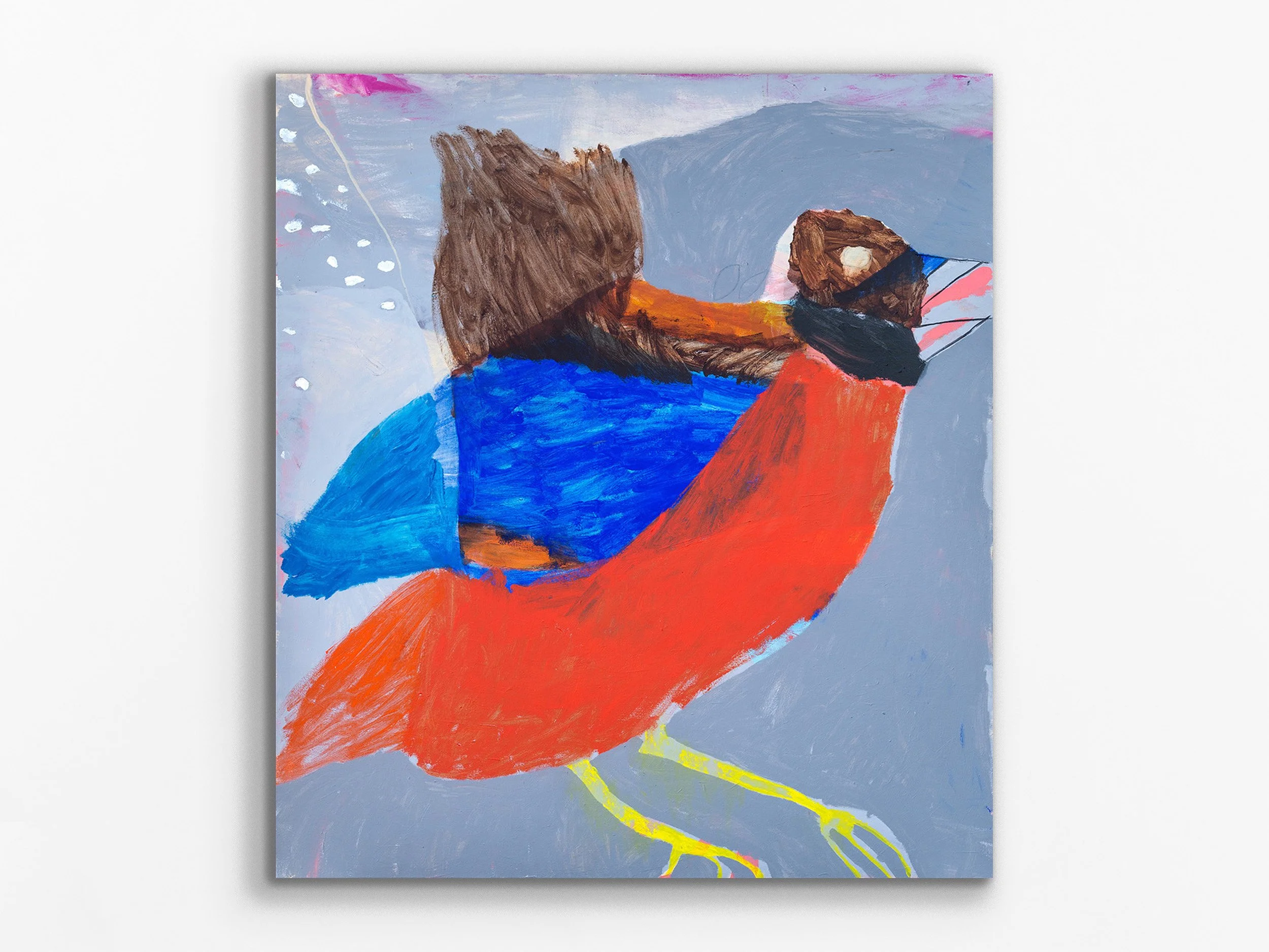 Blue Lagoon Red-Bellied Pitta