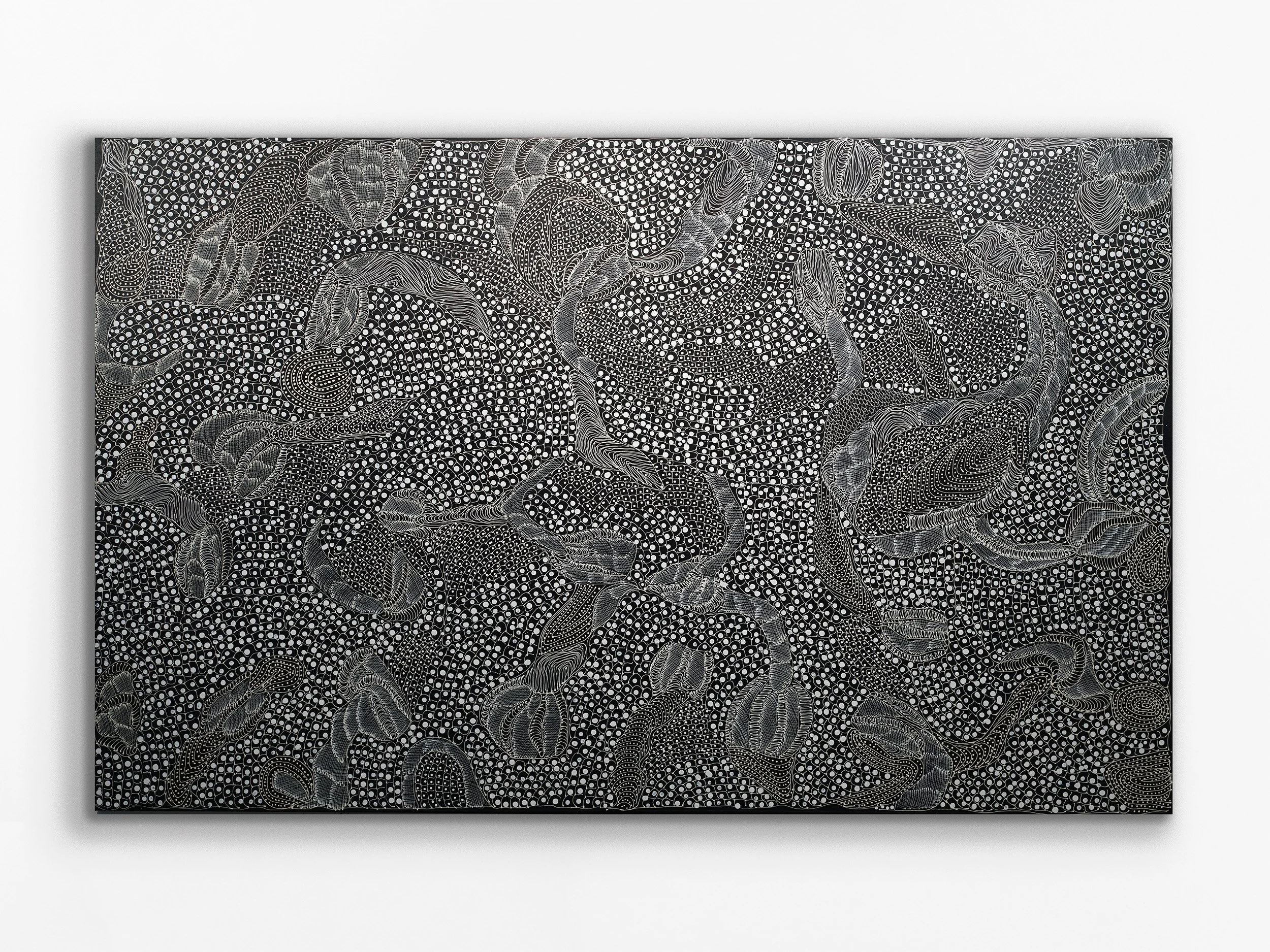 Ngintaka Perentie, 2024