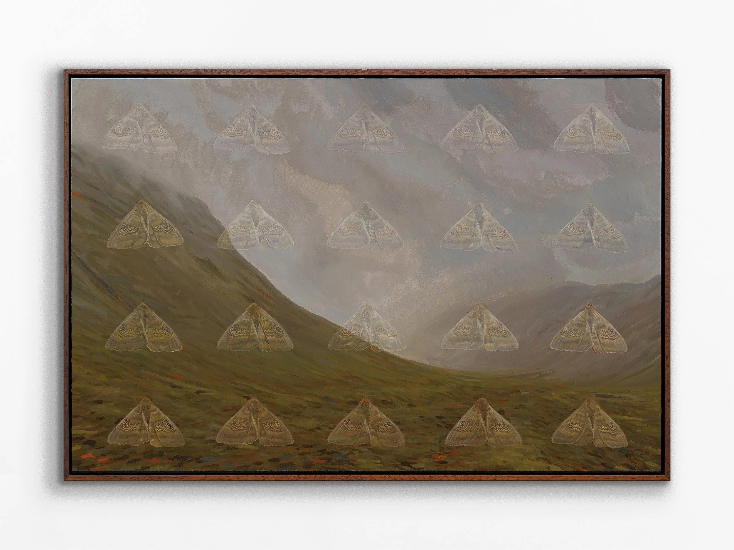 Ash Moths, Saksun, 2026