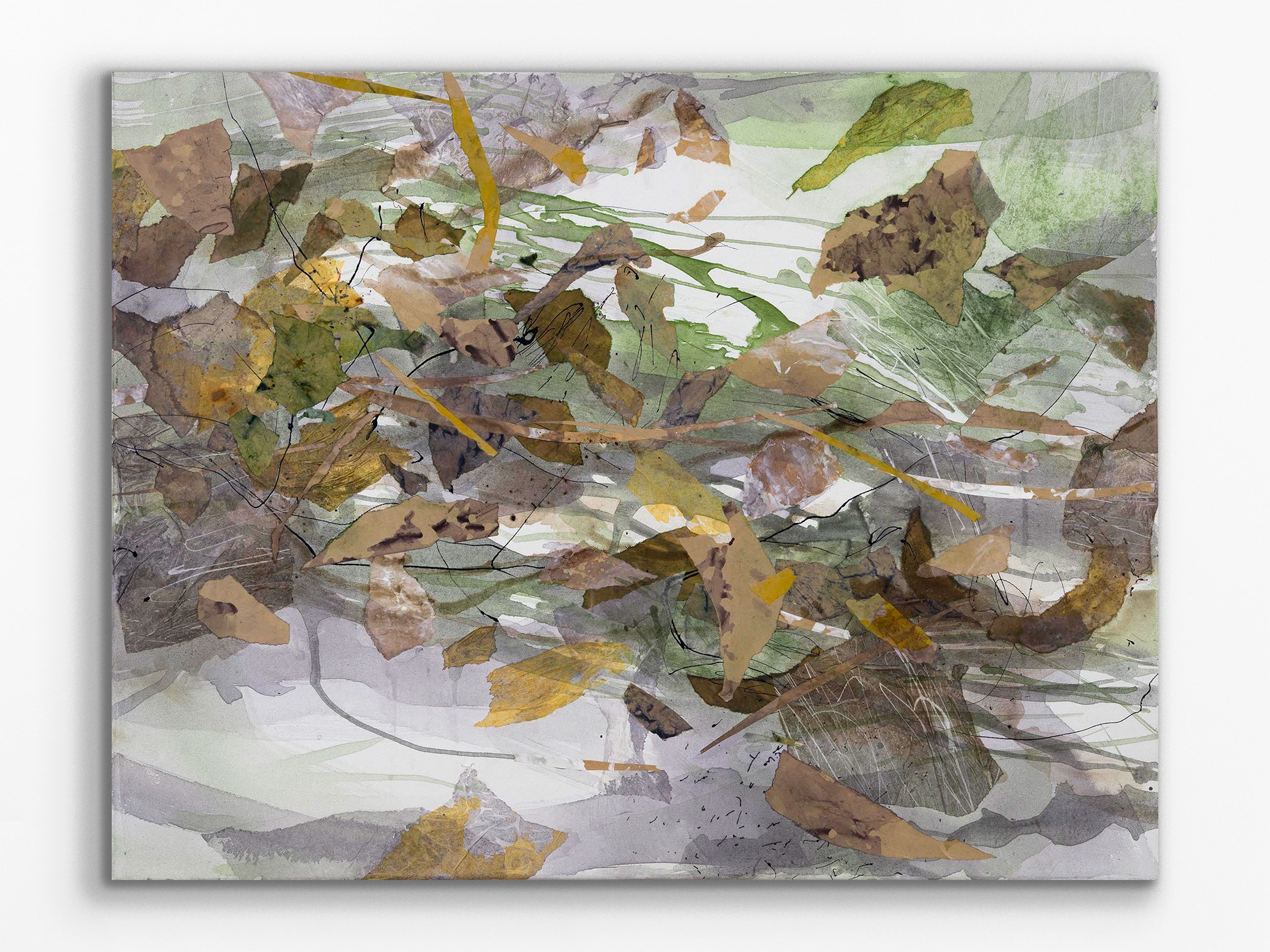 Garden Pond II, 2026