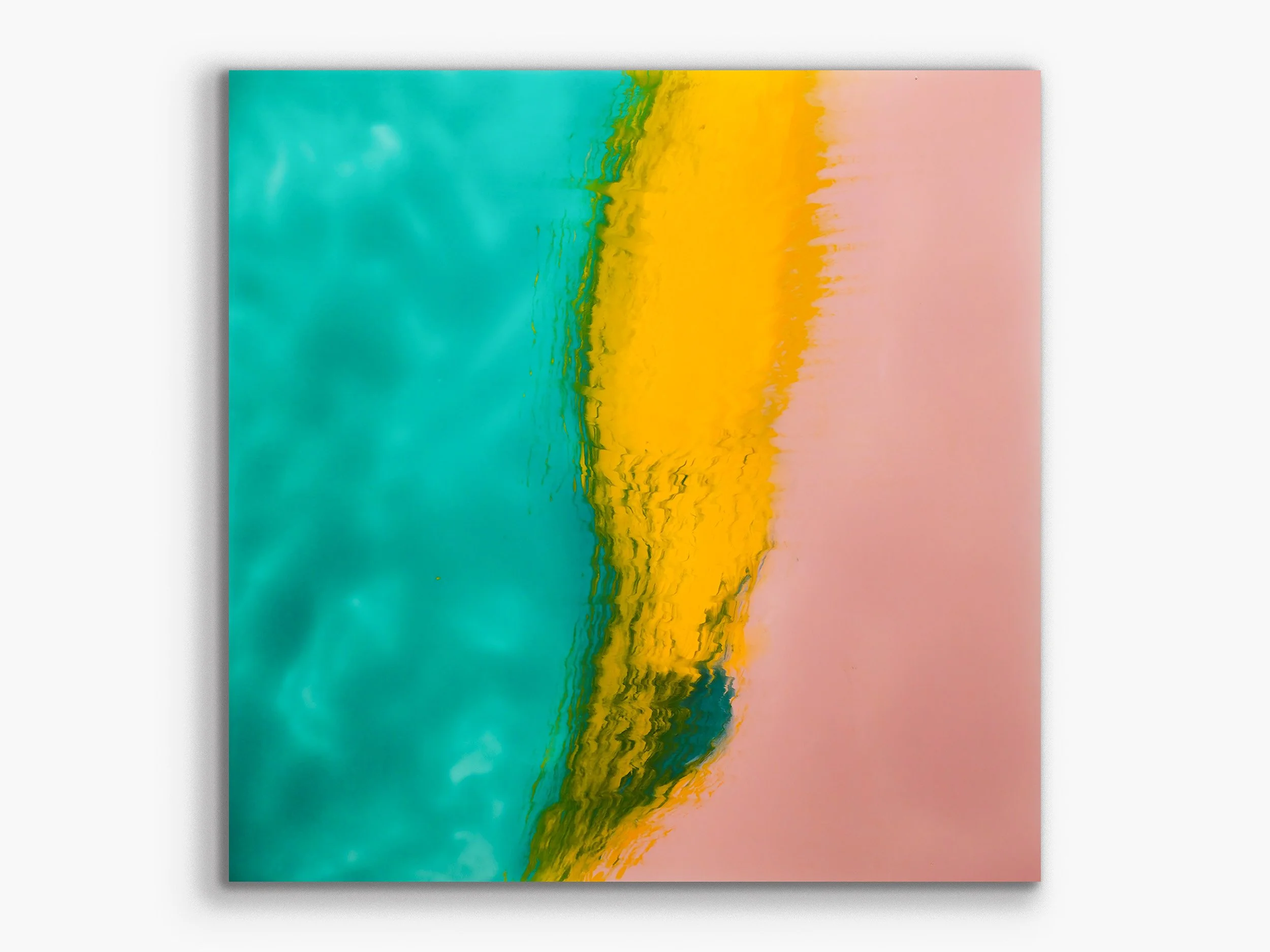 Xylem series: Chromatophore12, 2024