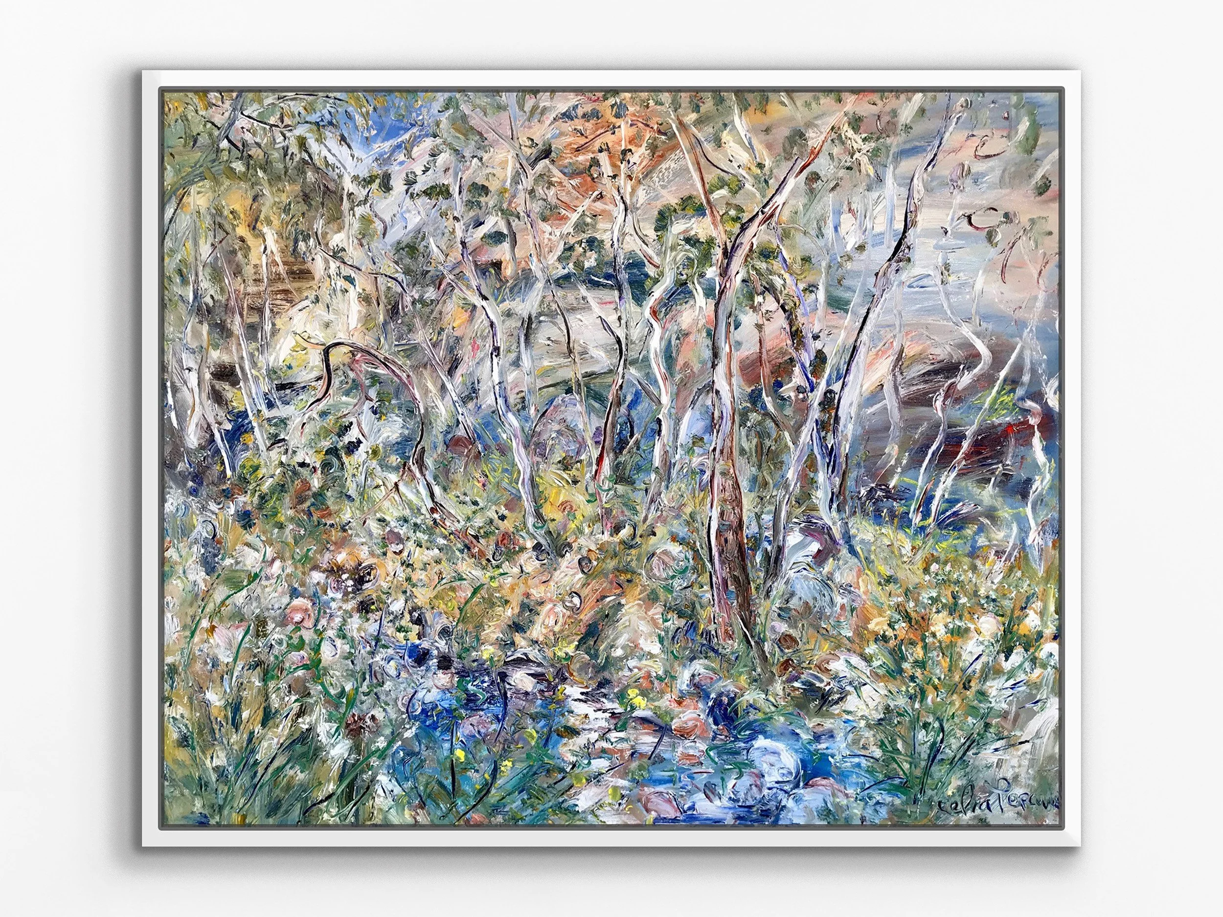 White Cockatoos in the Gorge, Grampians Victoria, 2024