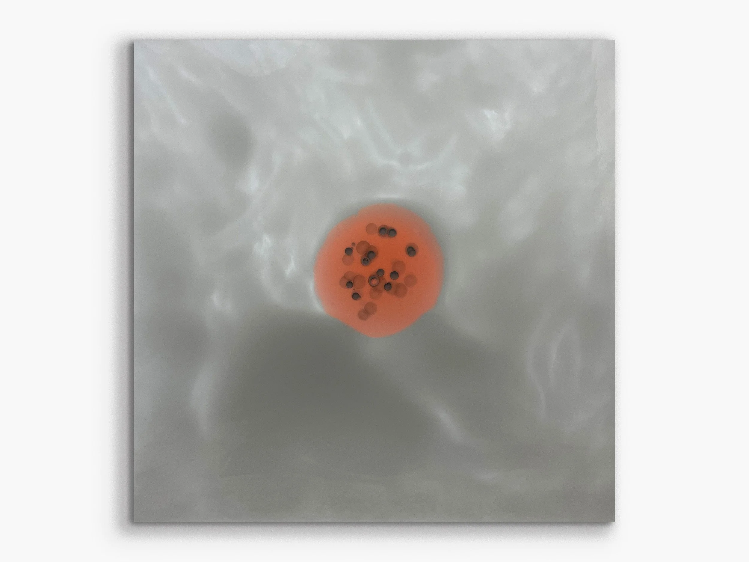 Xylem series: Avium32, 2022