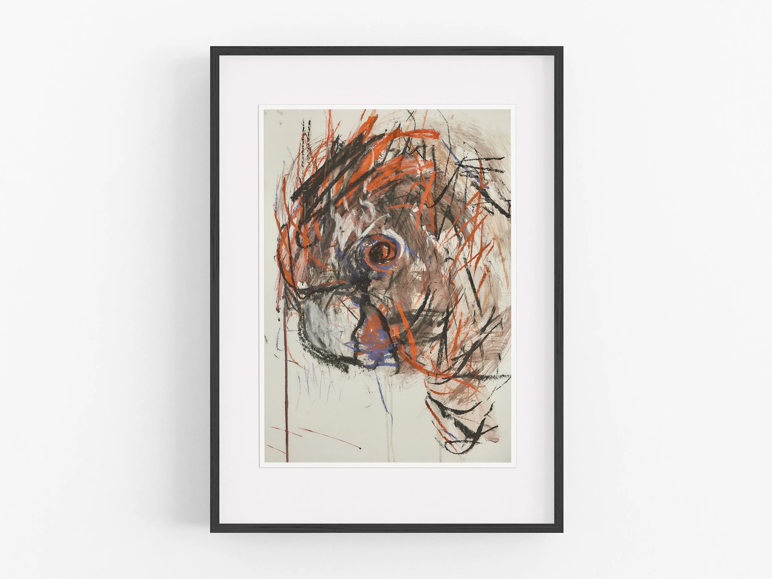 Curly, Black Cockatoo, 2024