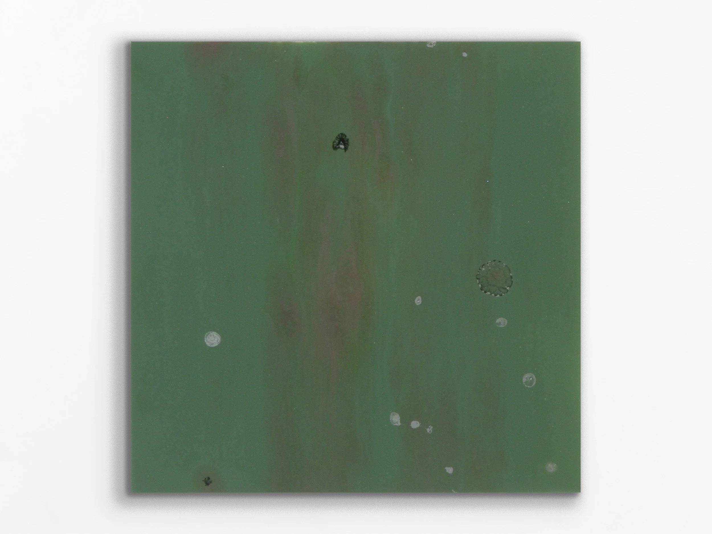 Xylem series: Terfesia23, 2014