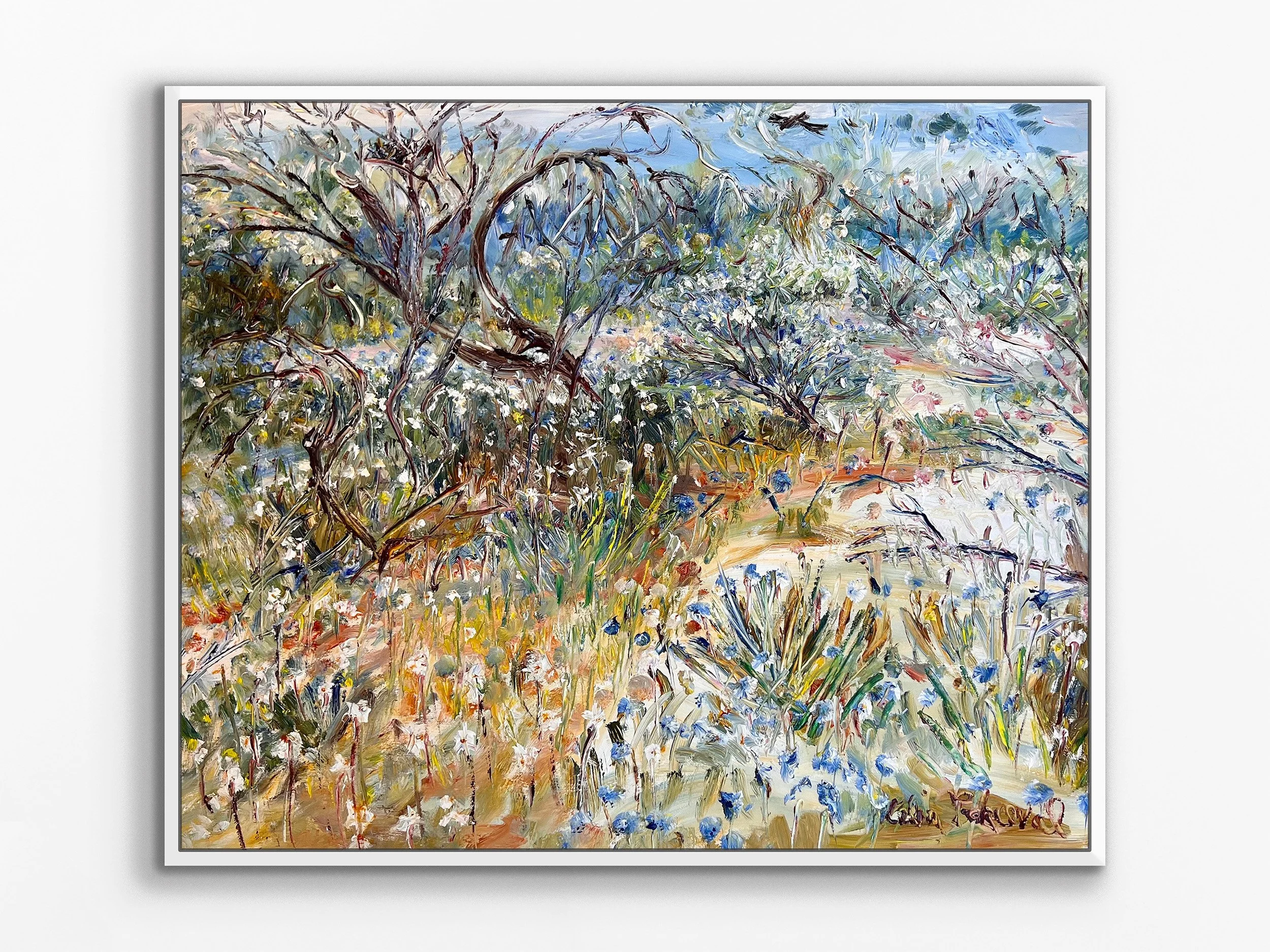Crows Nest in the Scrub with Desert Wildflowers, WA, 2024