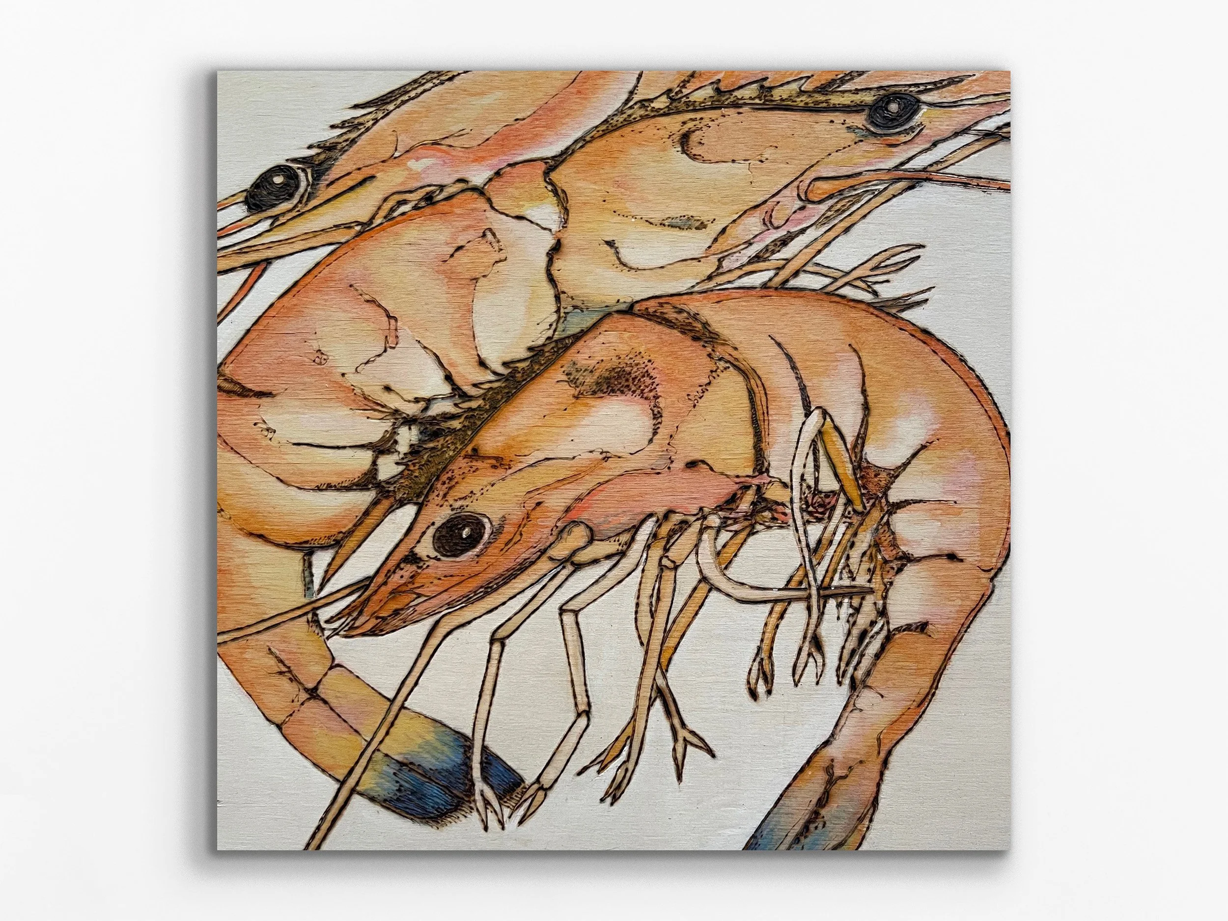 Prawns on Panel 1, 2024
