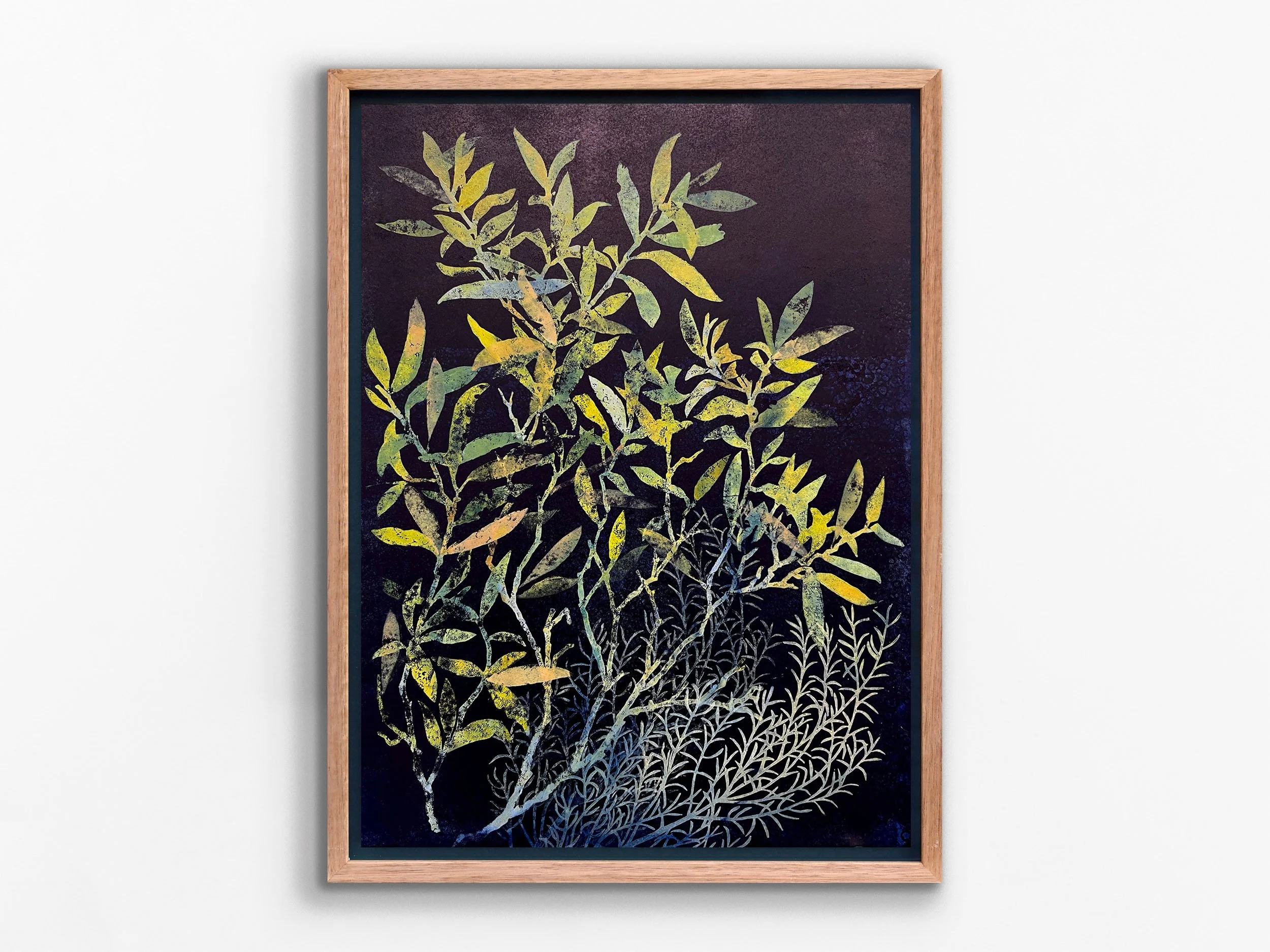 Illuminated Bush I, 2026