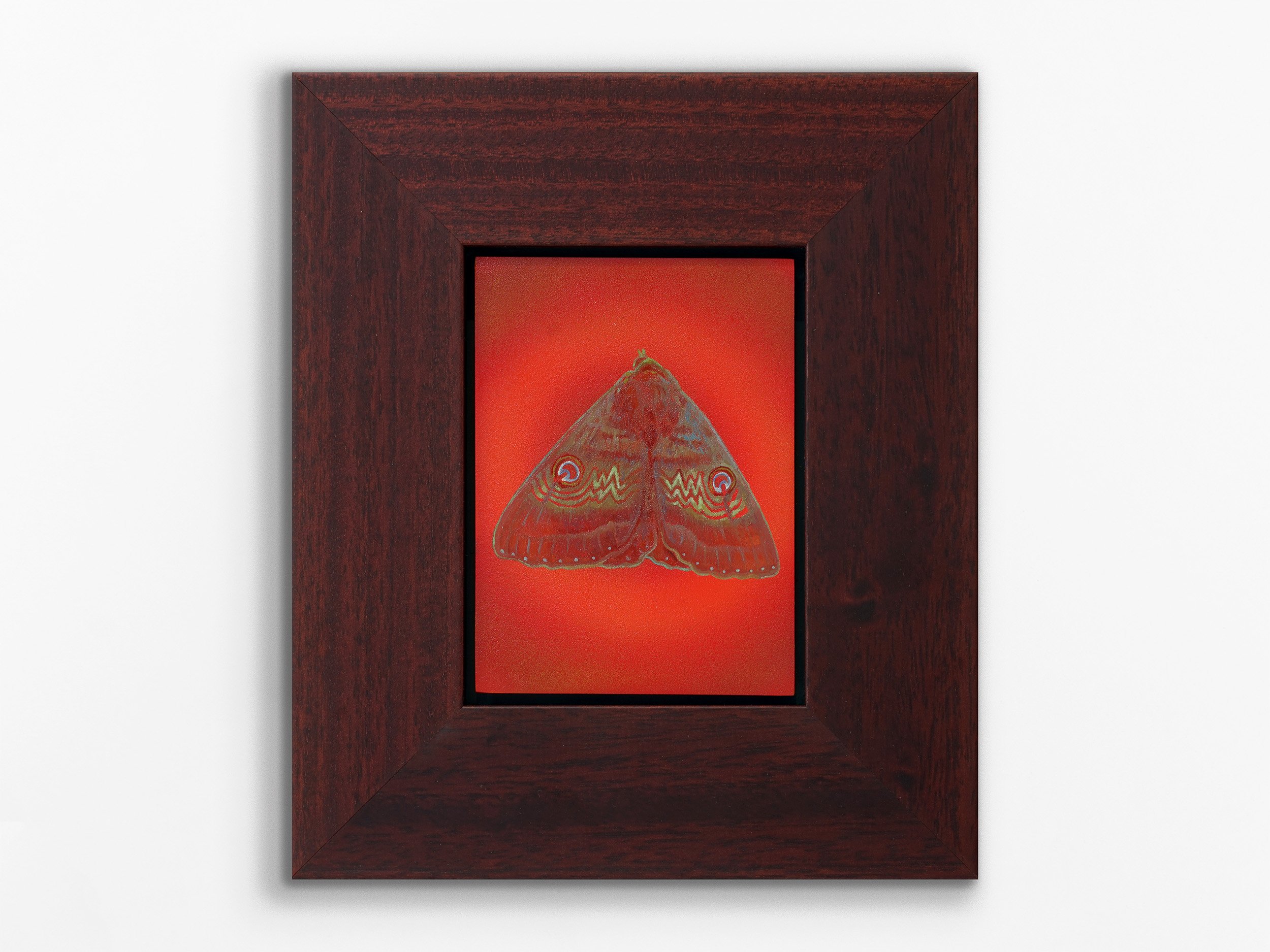 Flame Moth, Ruth, 2026