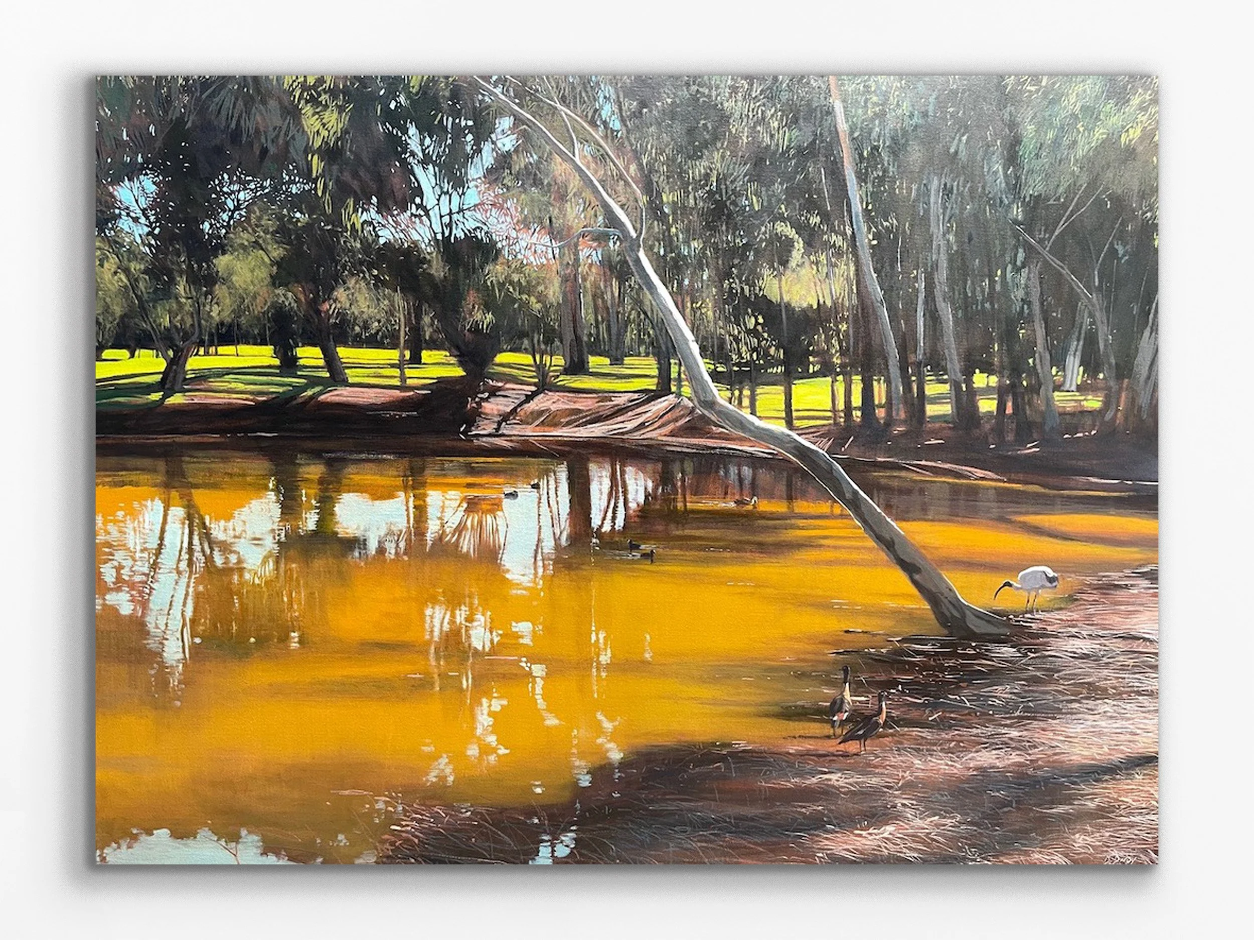 Birdies (Maylands Golf Club), 2024