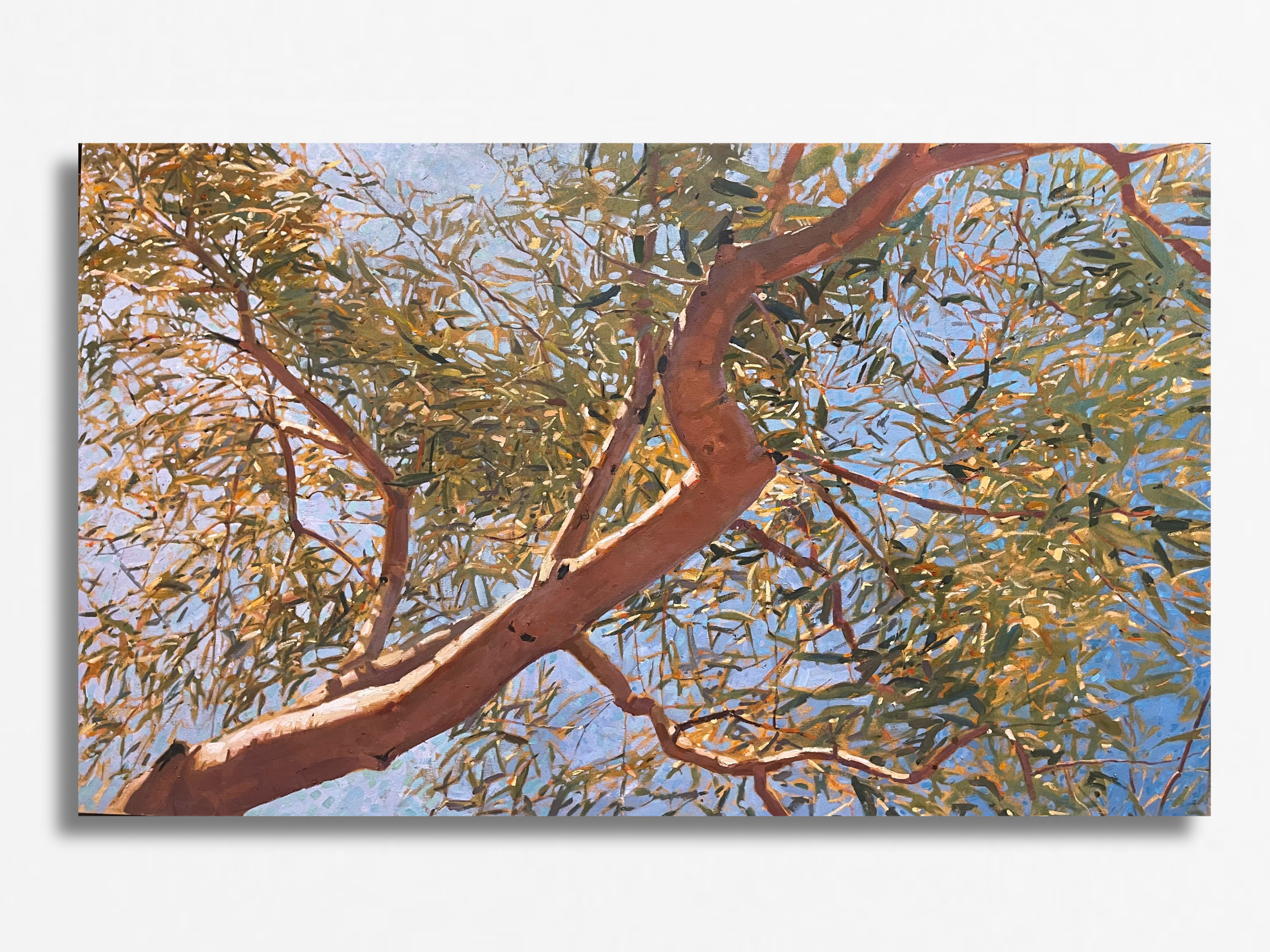 Pilbara Branch, 2000
