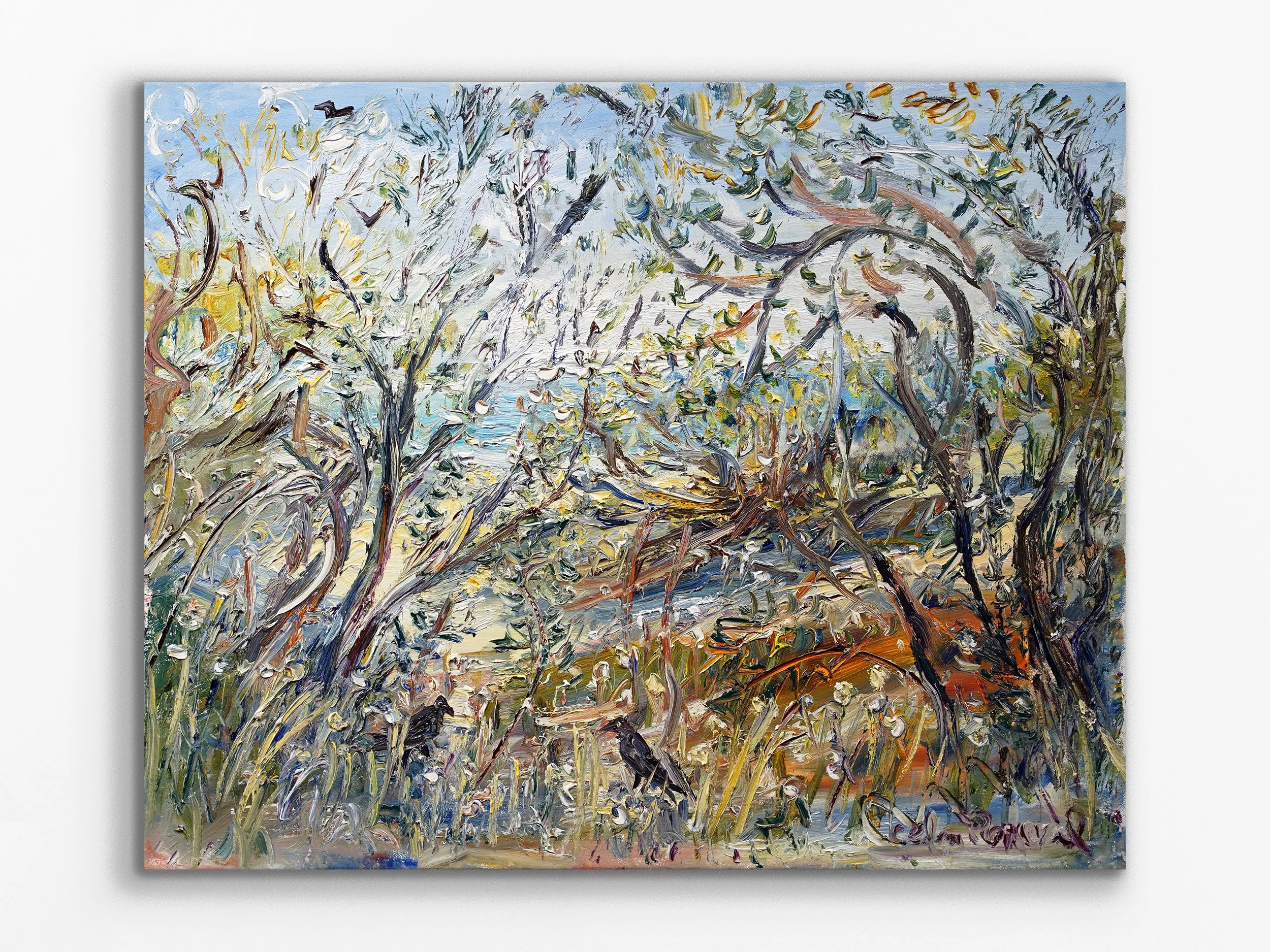 Ravens in the Tea Trees Merricks Beach