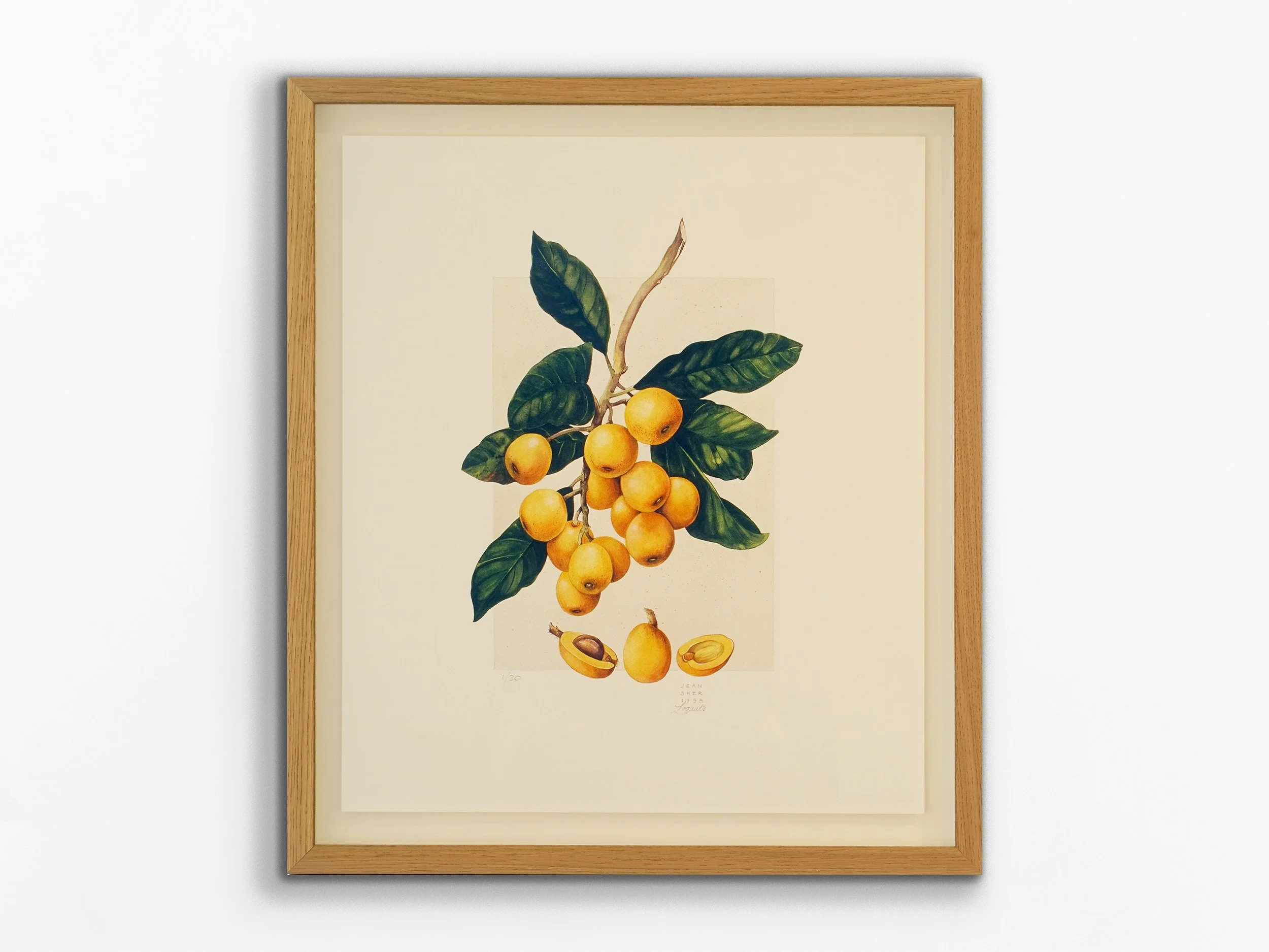 Loquats, 2026