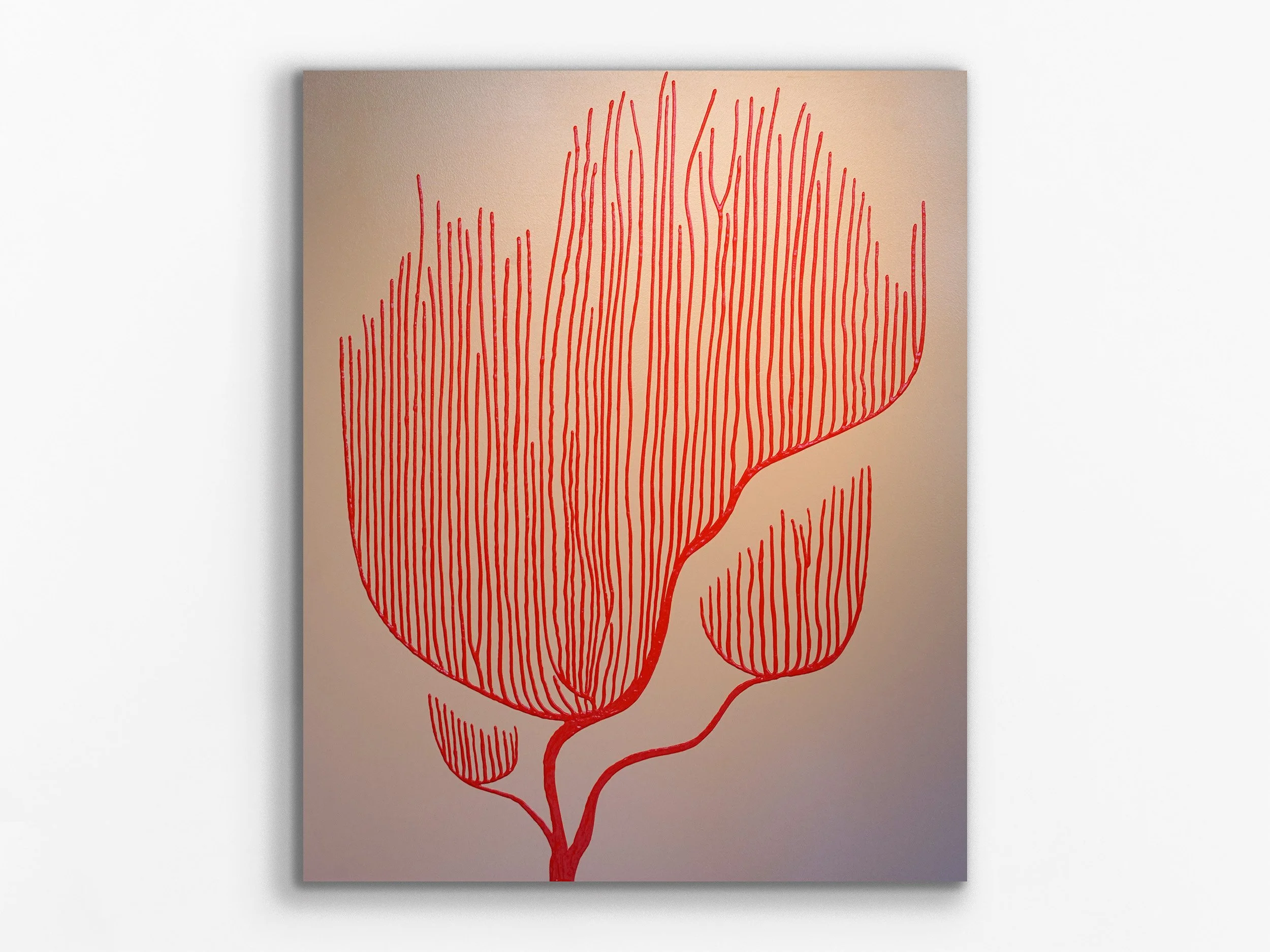 Lyre gorgonian, 2026